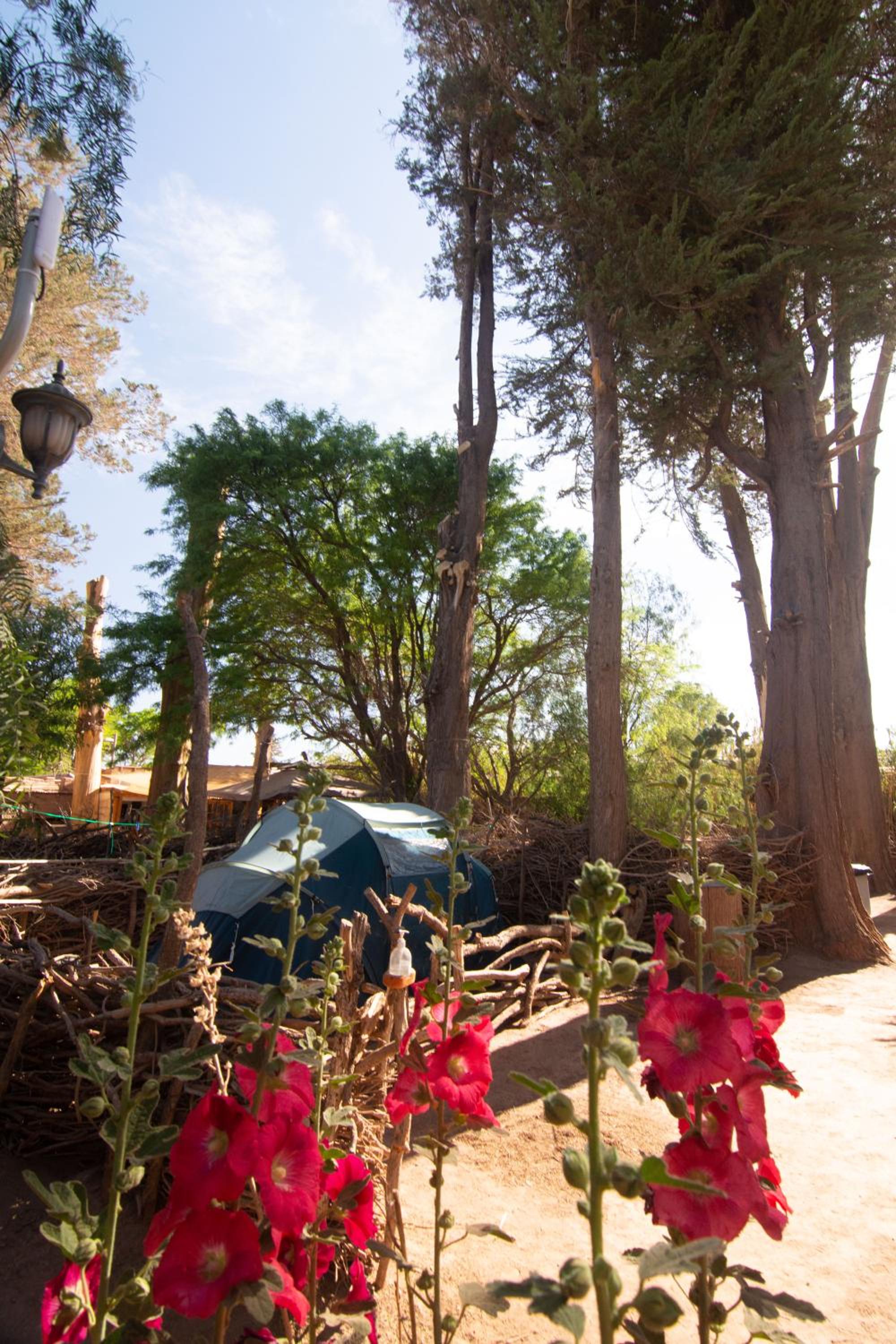 Hotel-Camping Takha Takha