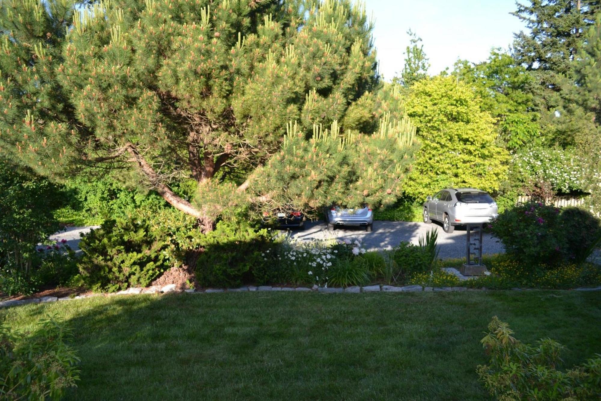 Photo 35