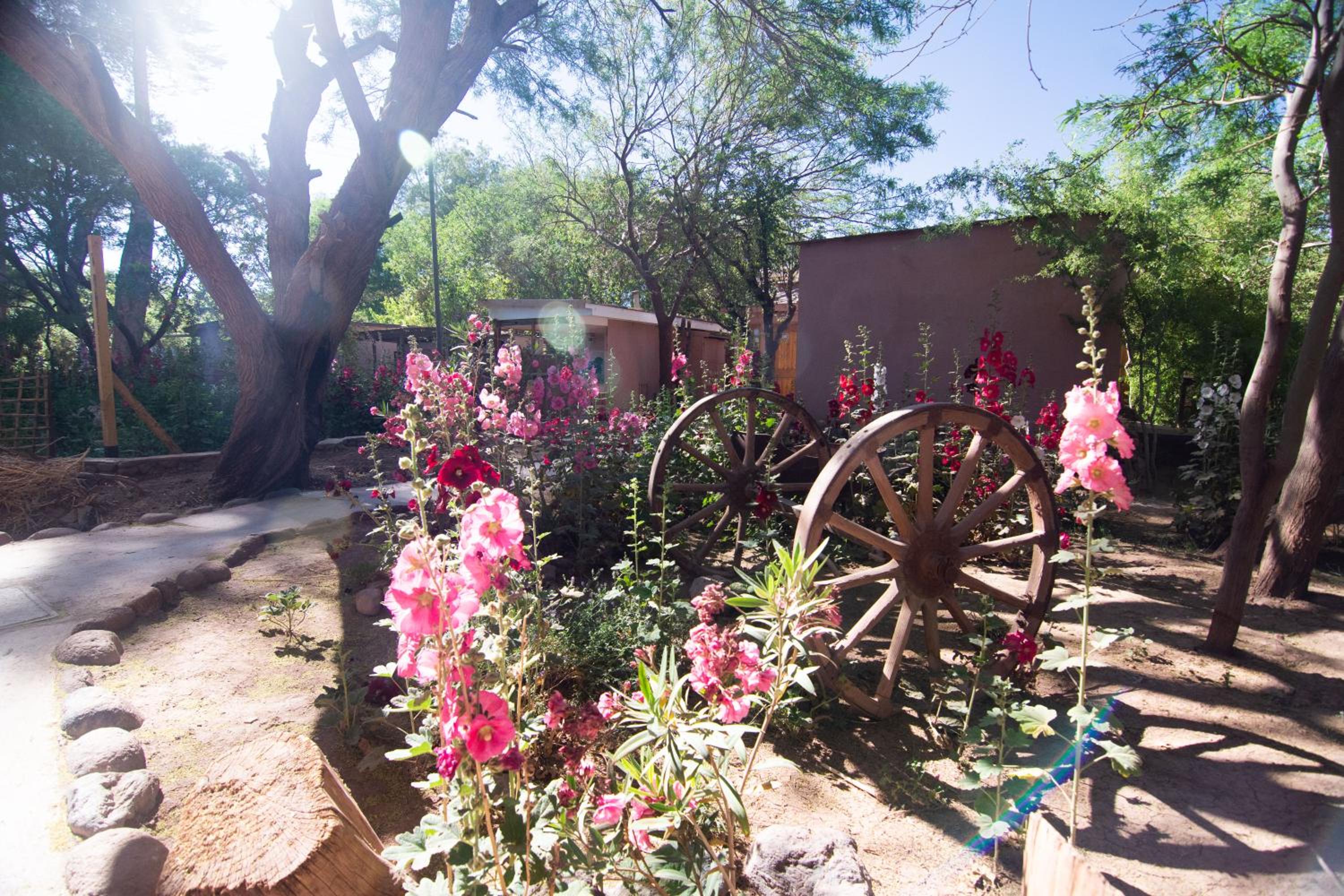 Hotel-Camping Takha Takha