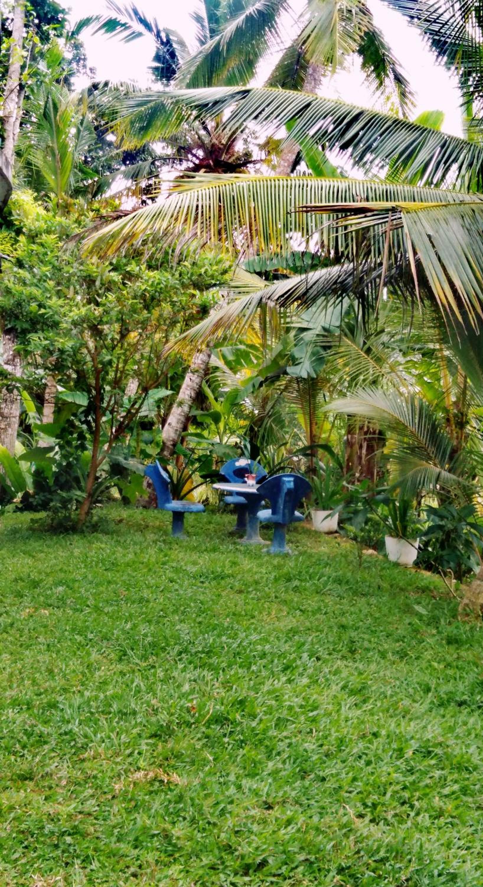Field Island Villa - Ahangama view 5