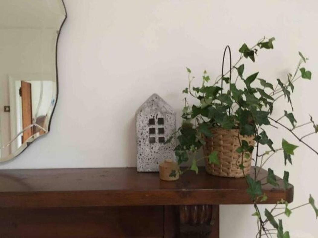 Randell Cottage - Adelaide Hills - Cosy Rustic Hideaway