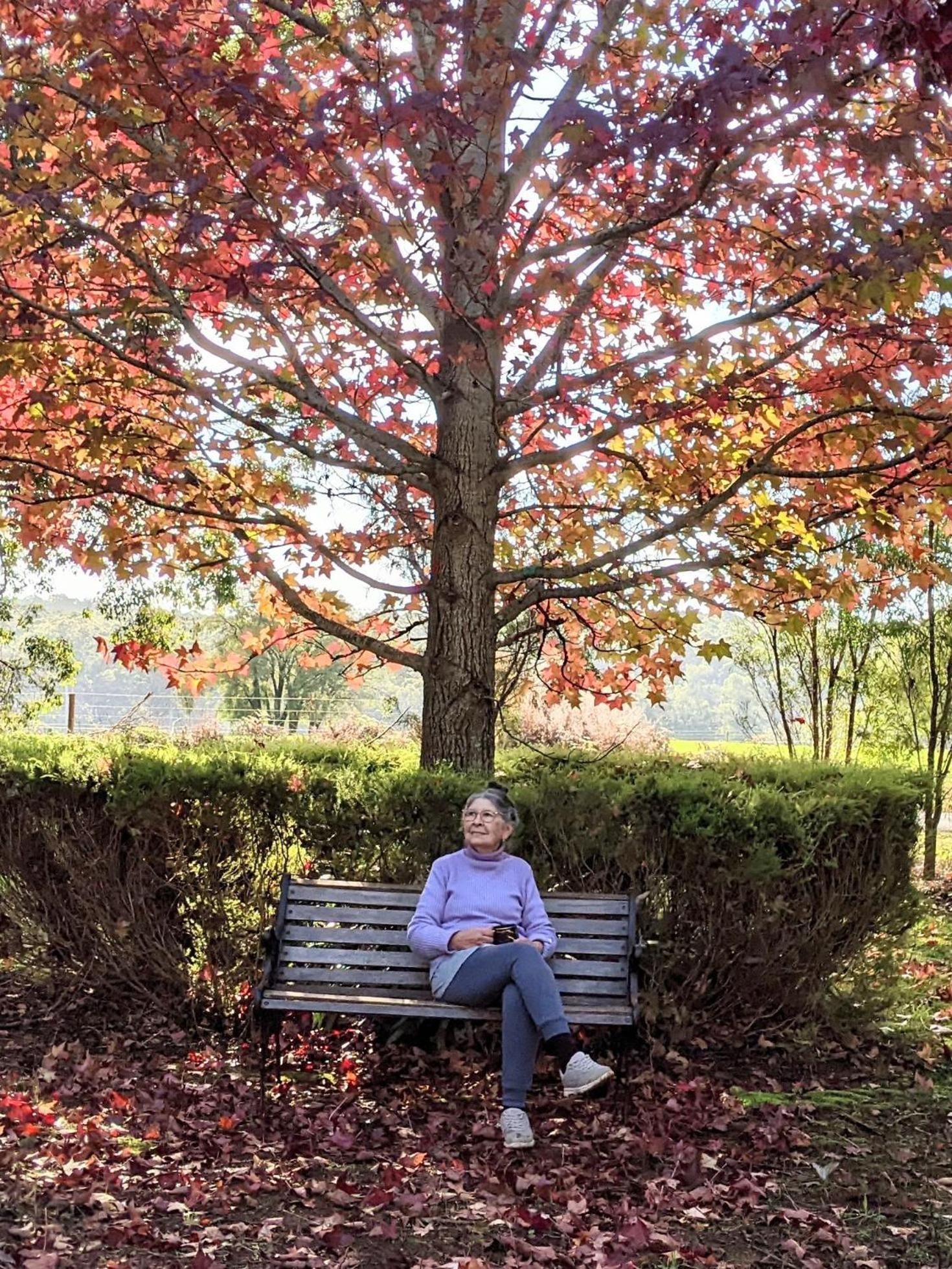 Photo 42