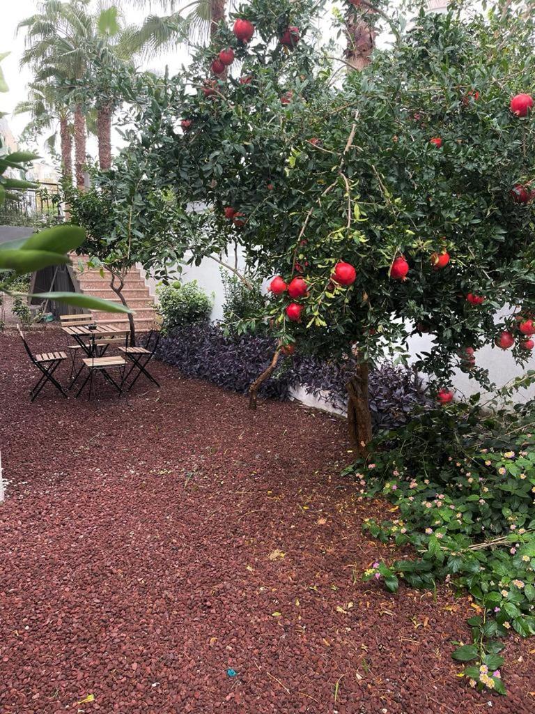 ABC Apart Otel - Image 50