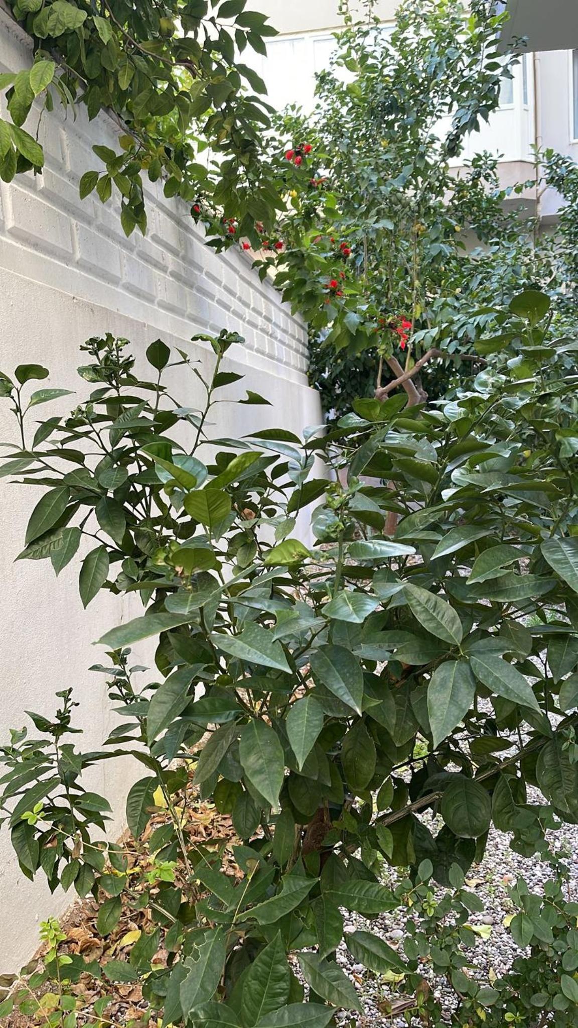 ABC Apart Otel - Image 41