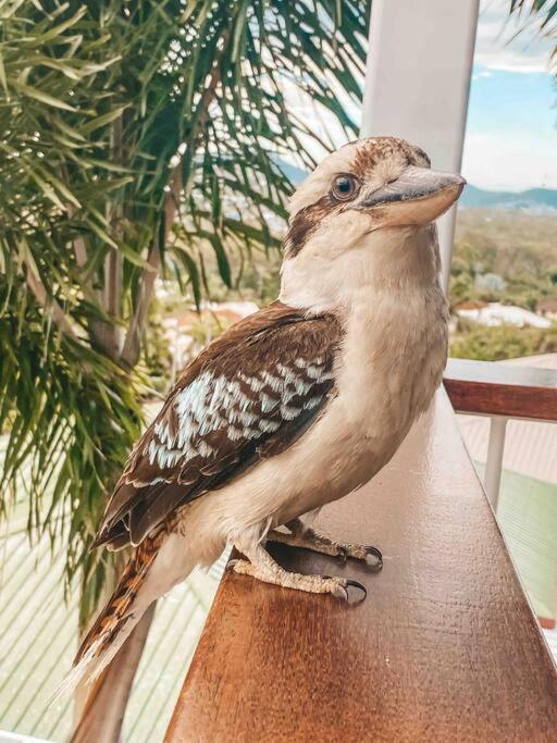 Lammermoor Lodge Holiday Home Yeppoon