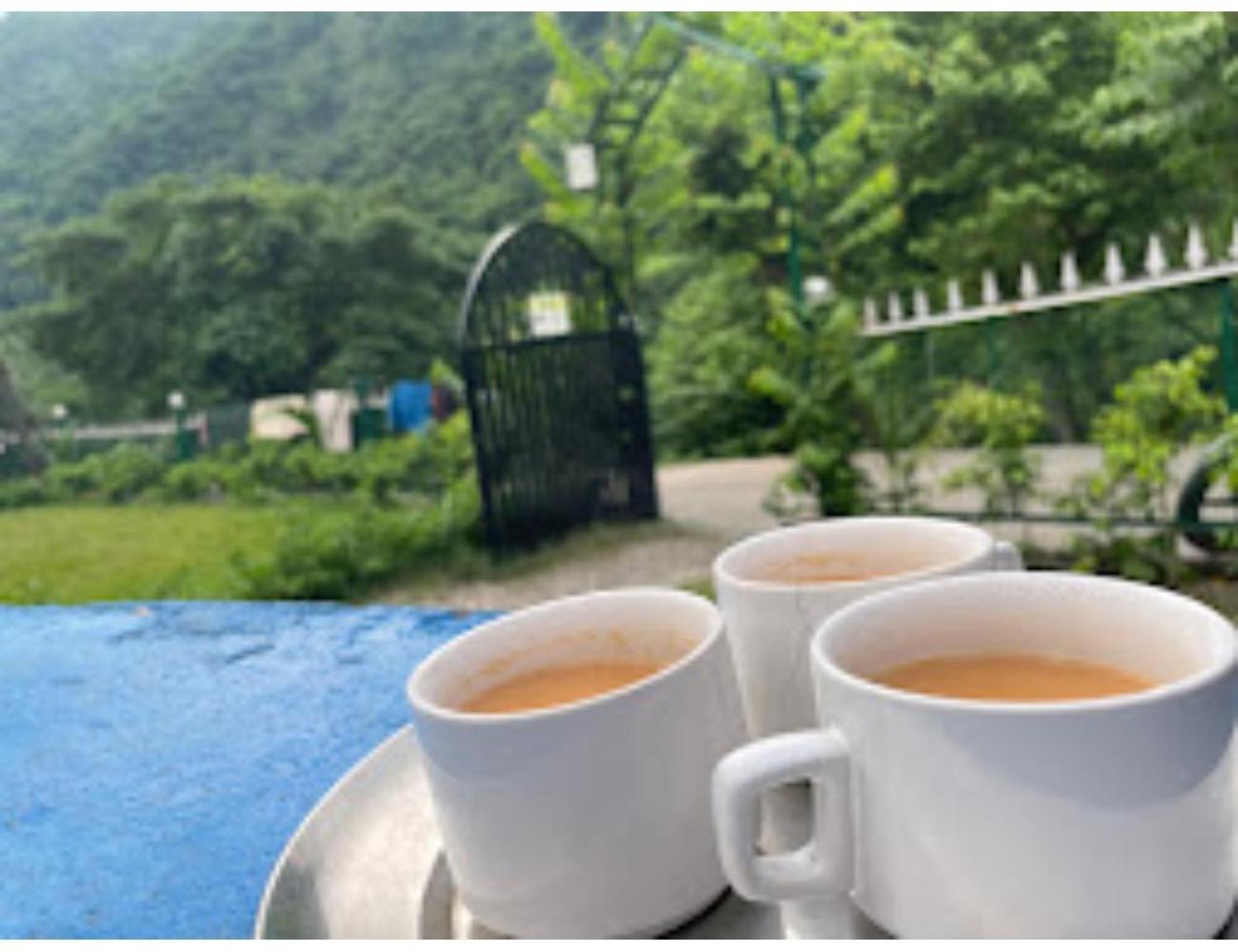 The Jungle View Resort  Restaurant, Bhogpur - Property Image 5