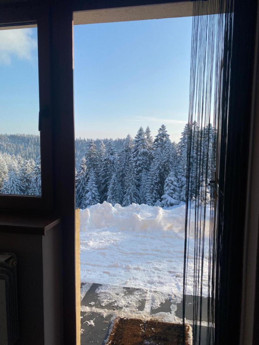Apartament w górach Gorce view 4