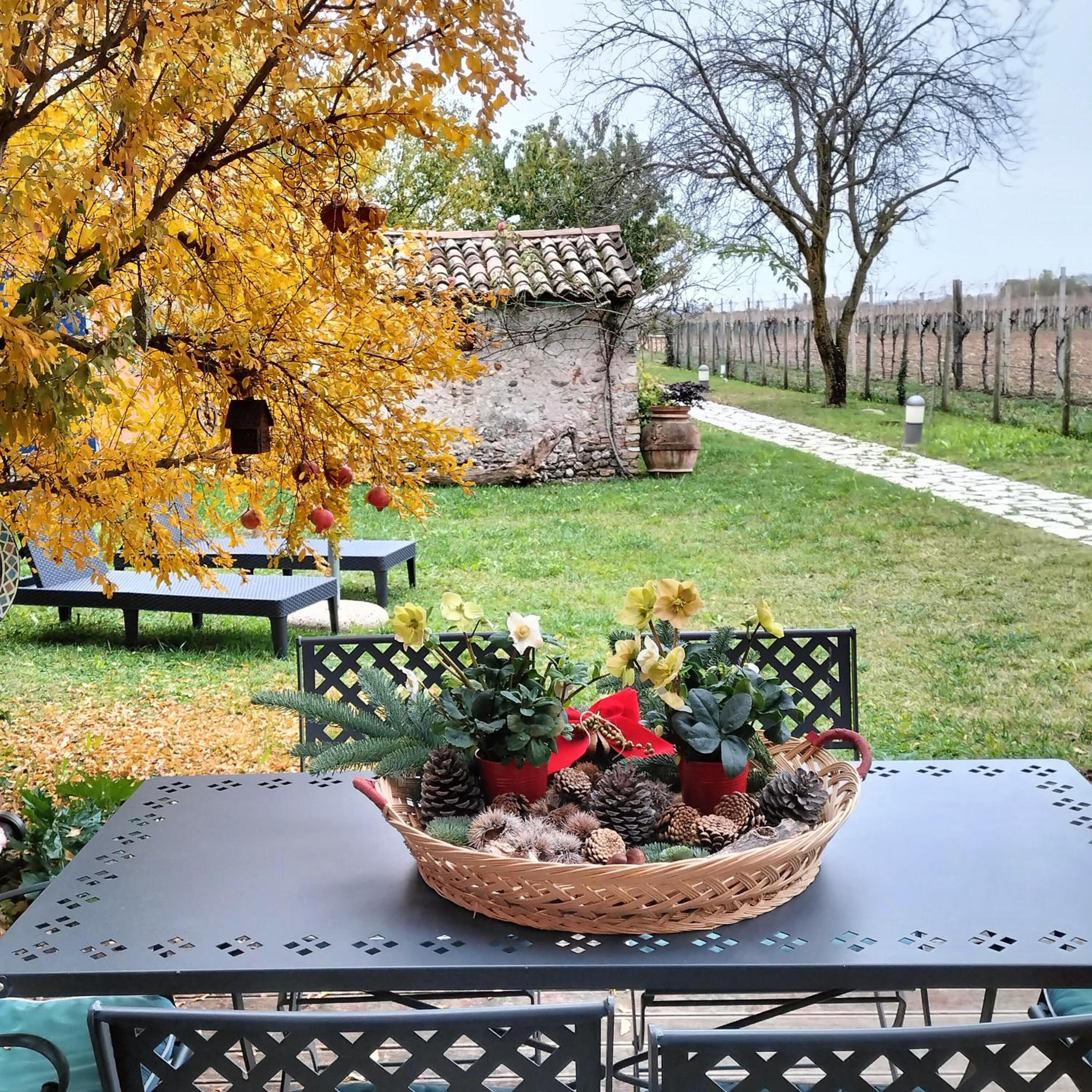 B&B Terre Di Bea