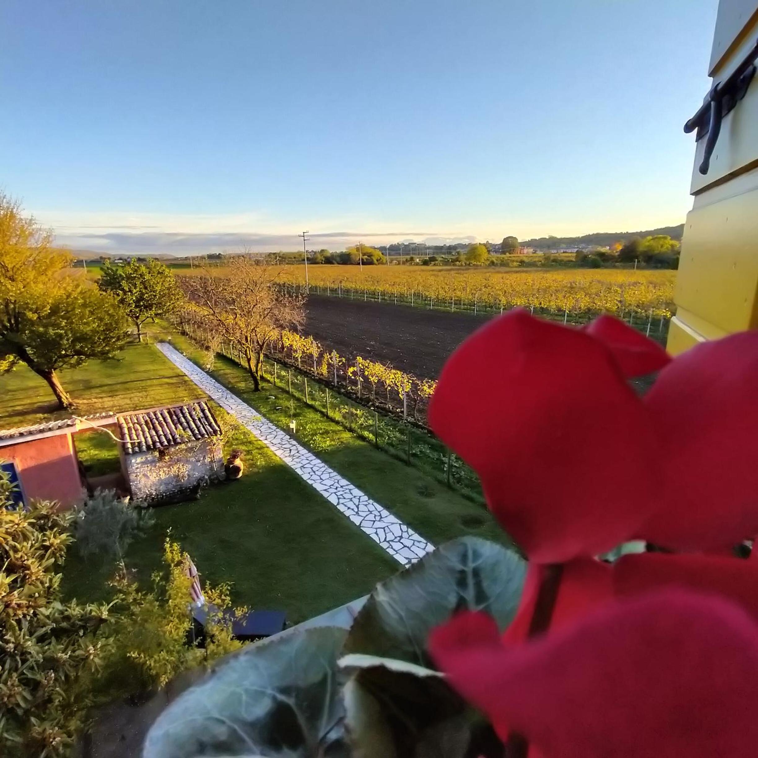 B&B Terre Di Bea