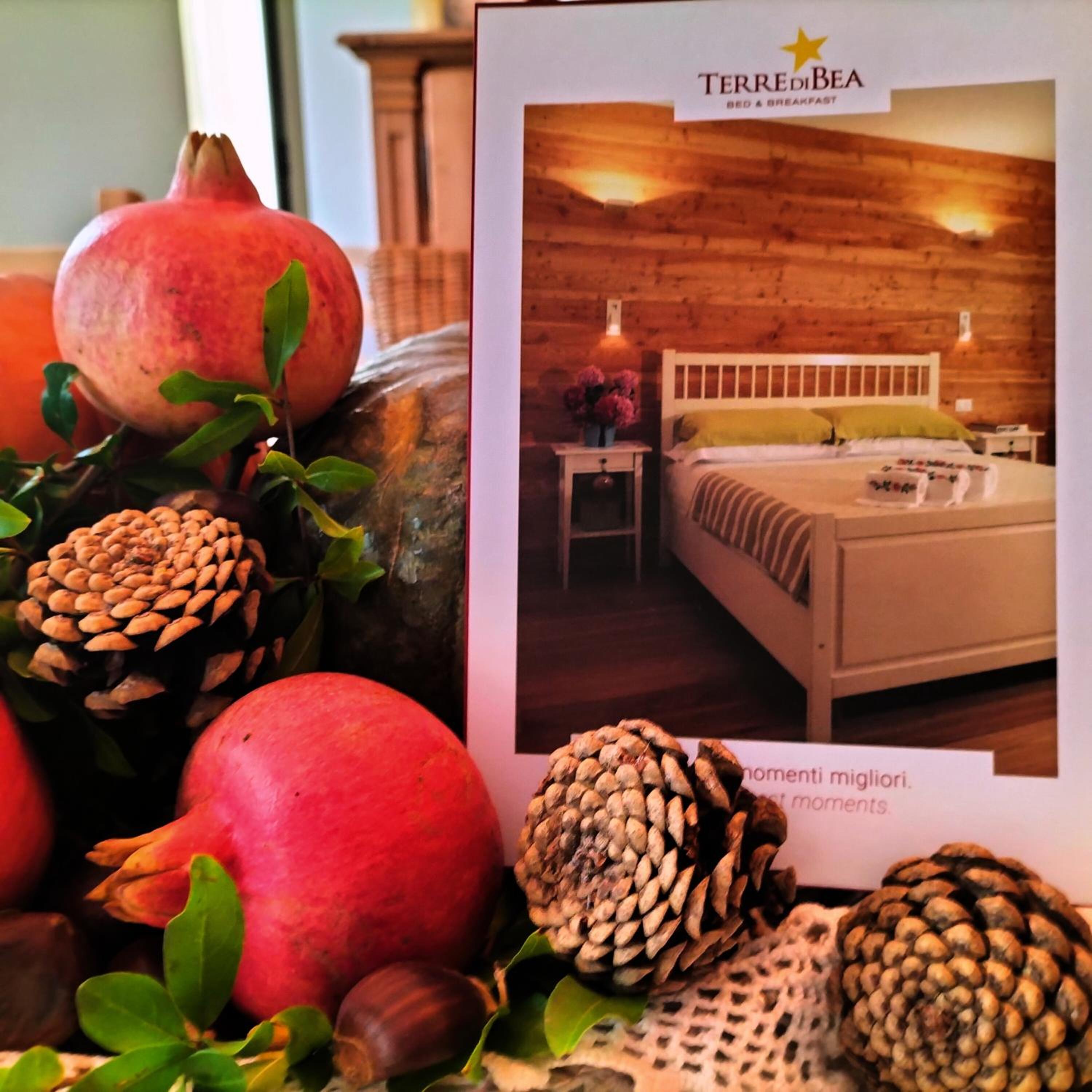 B&B Terre Di Bea