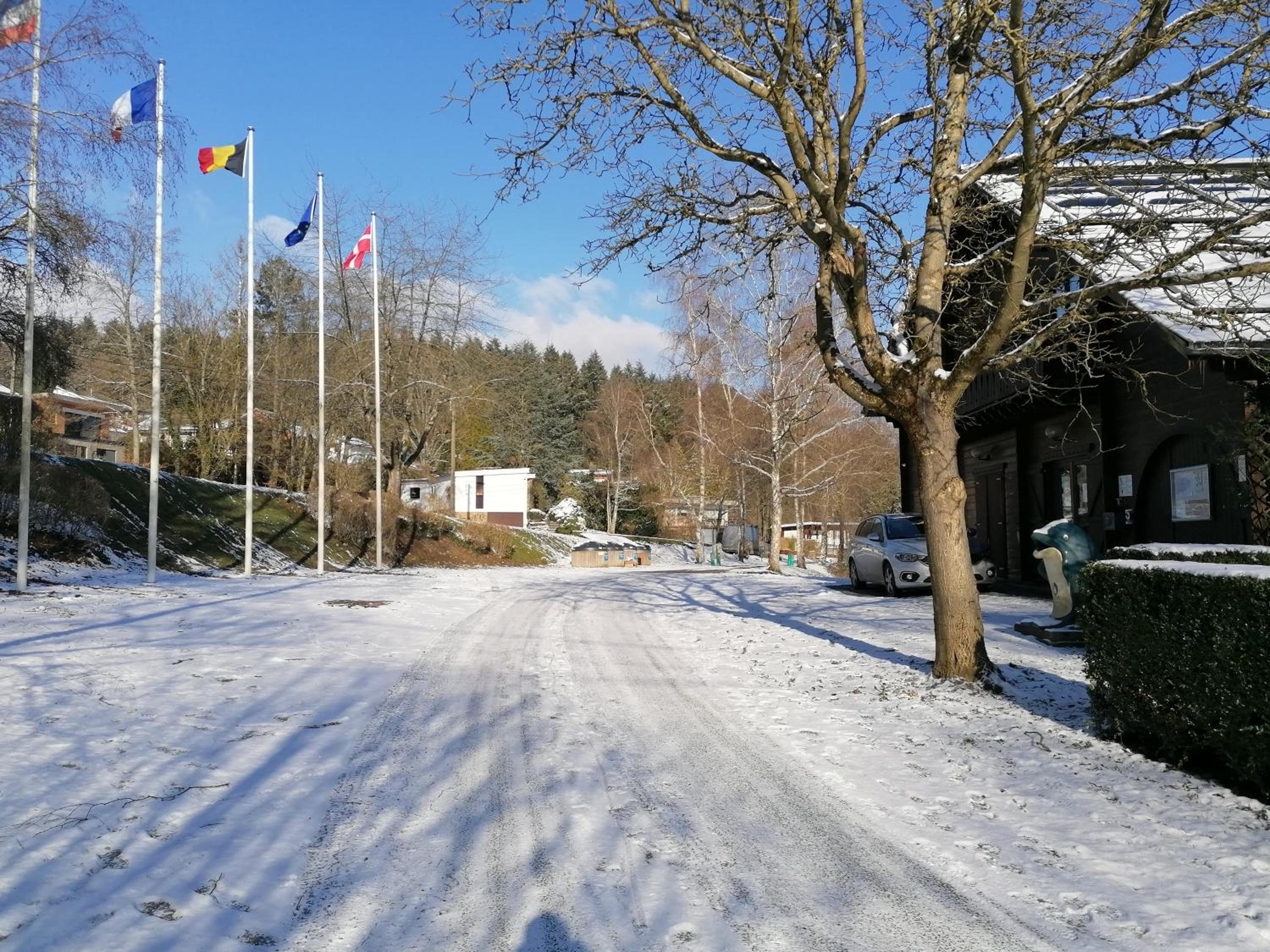 Au repos de Zoé