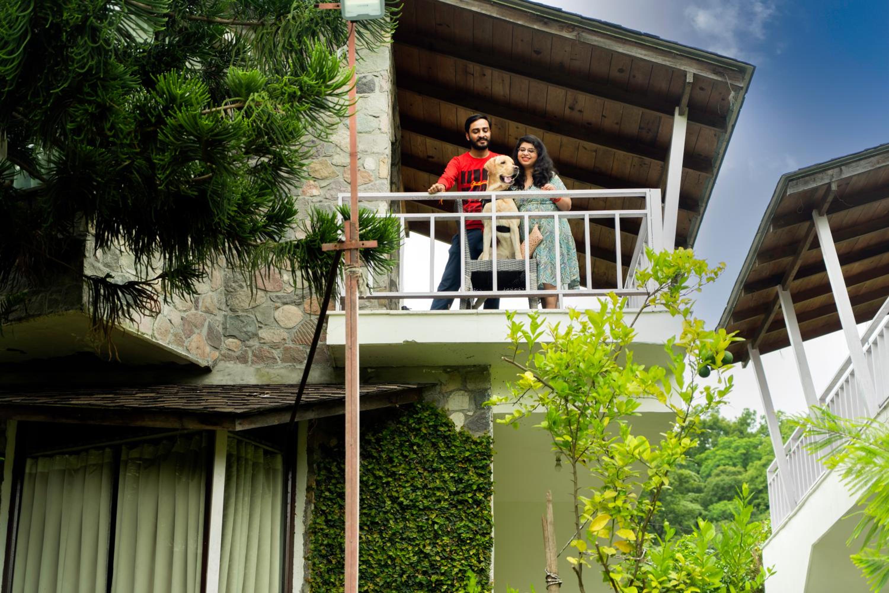 Wood castle Spa & Resort