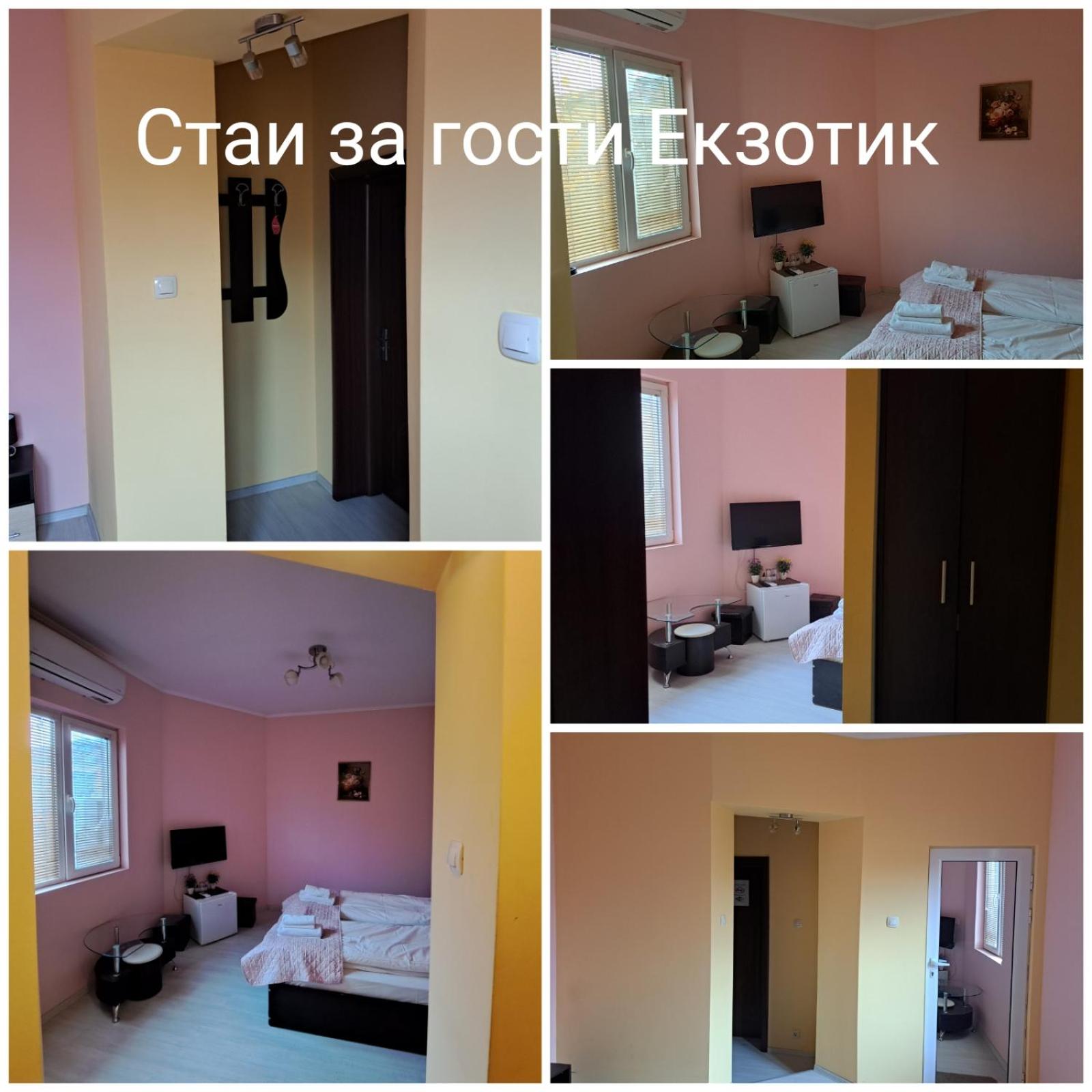 Guest Rooms Exotic
