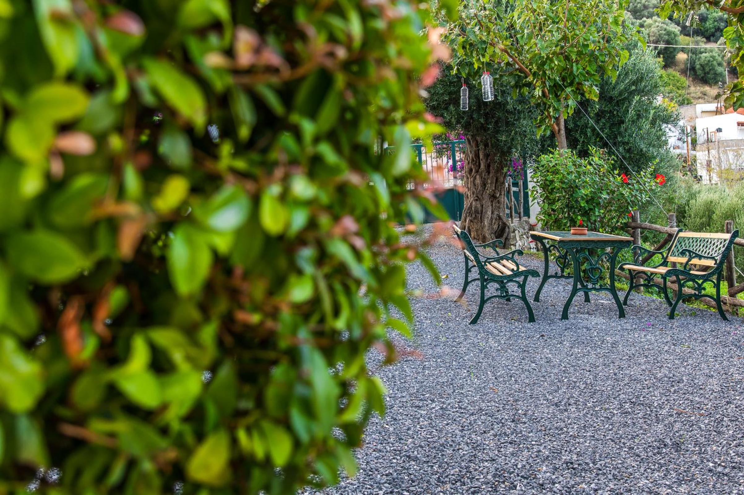 Chic & Spacious House in Rodia Heraklion photo 4