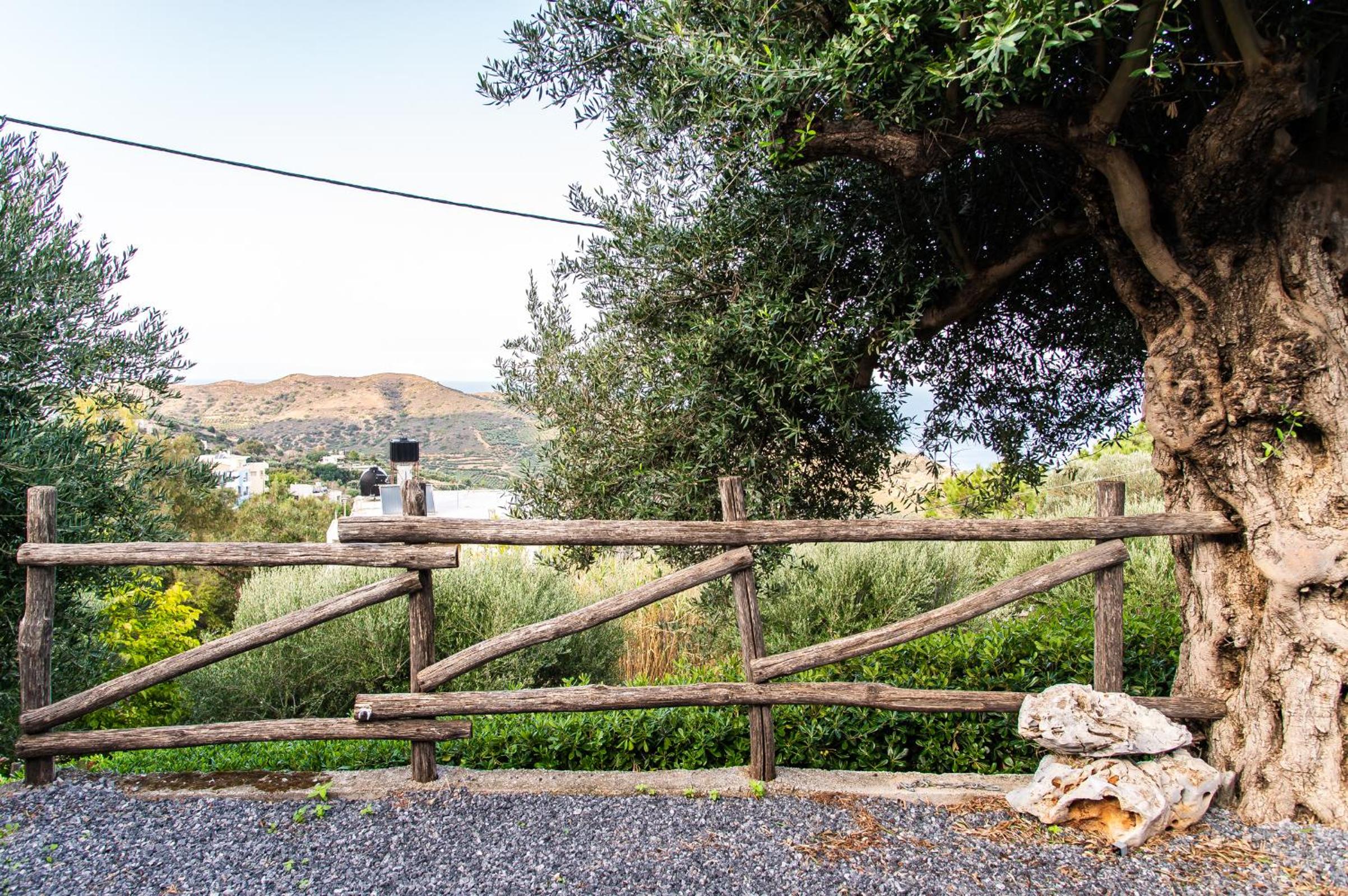 Chic & Spacious House in Rodia Heraklion photo 3