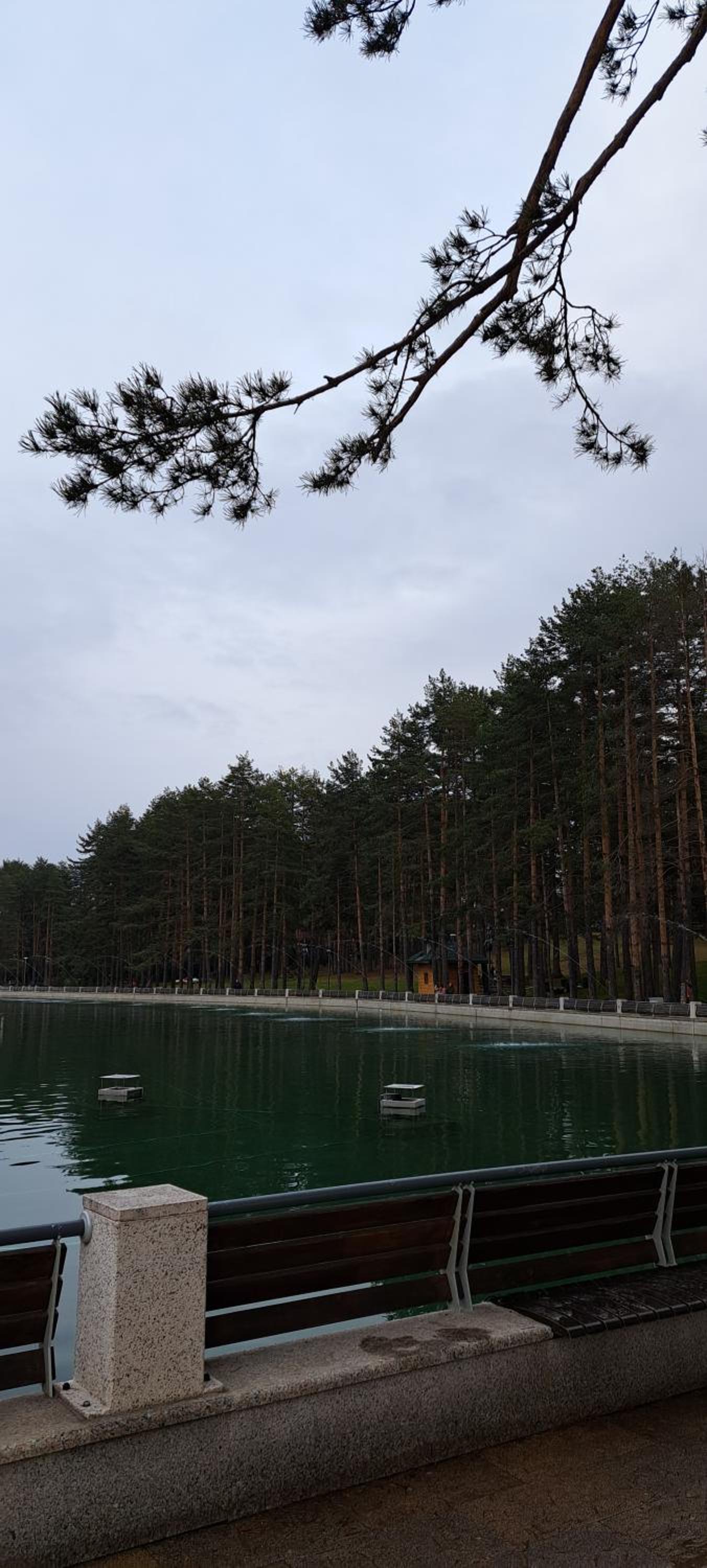 Photo 40