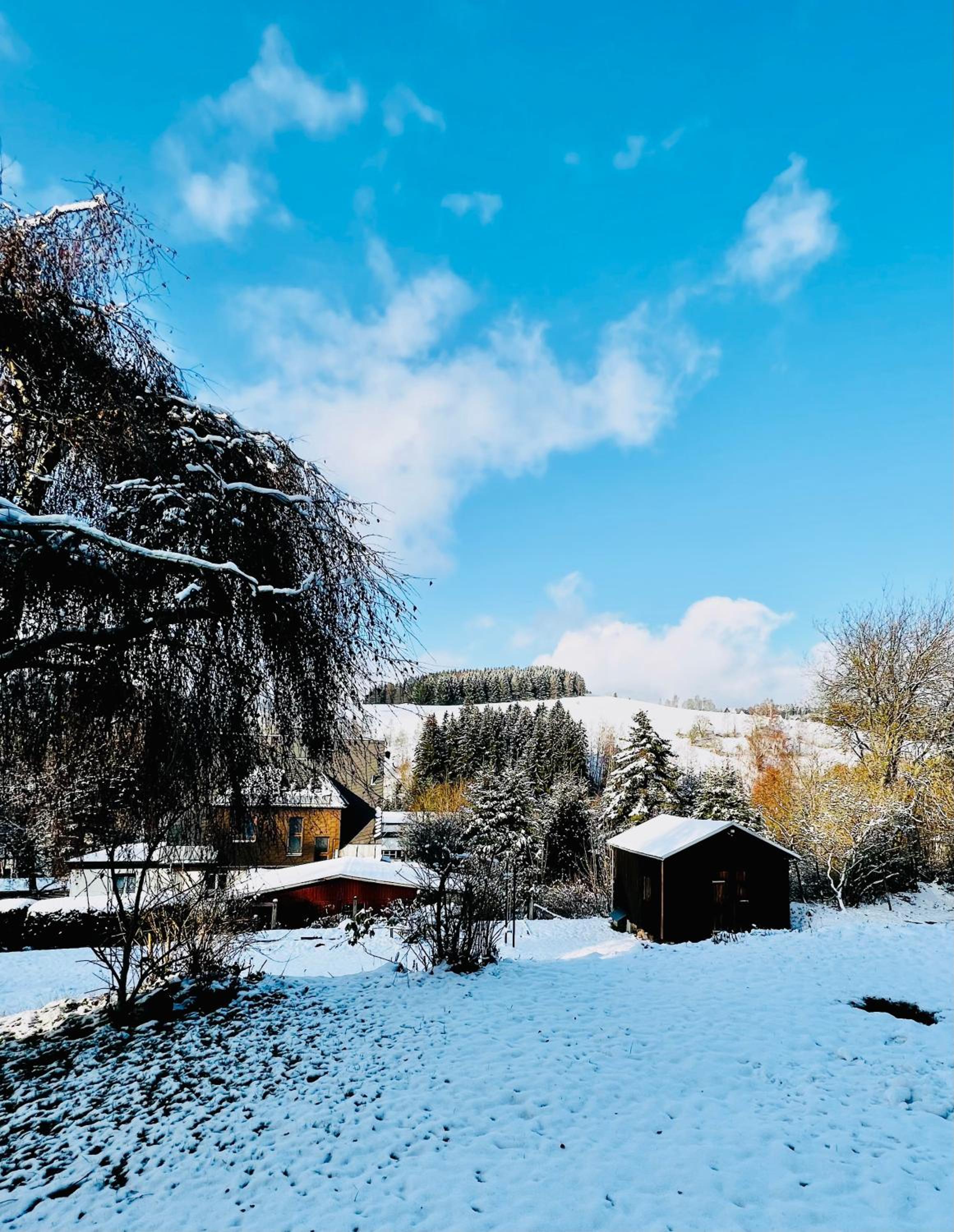 FeWo - Bergblick