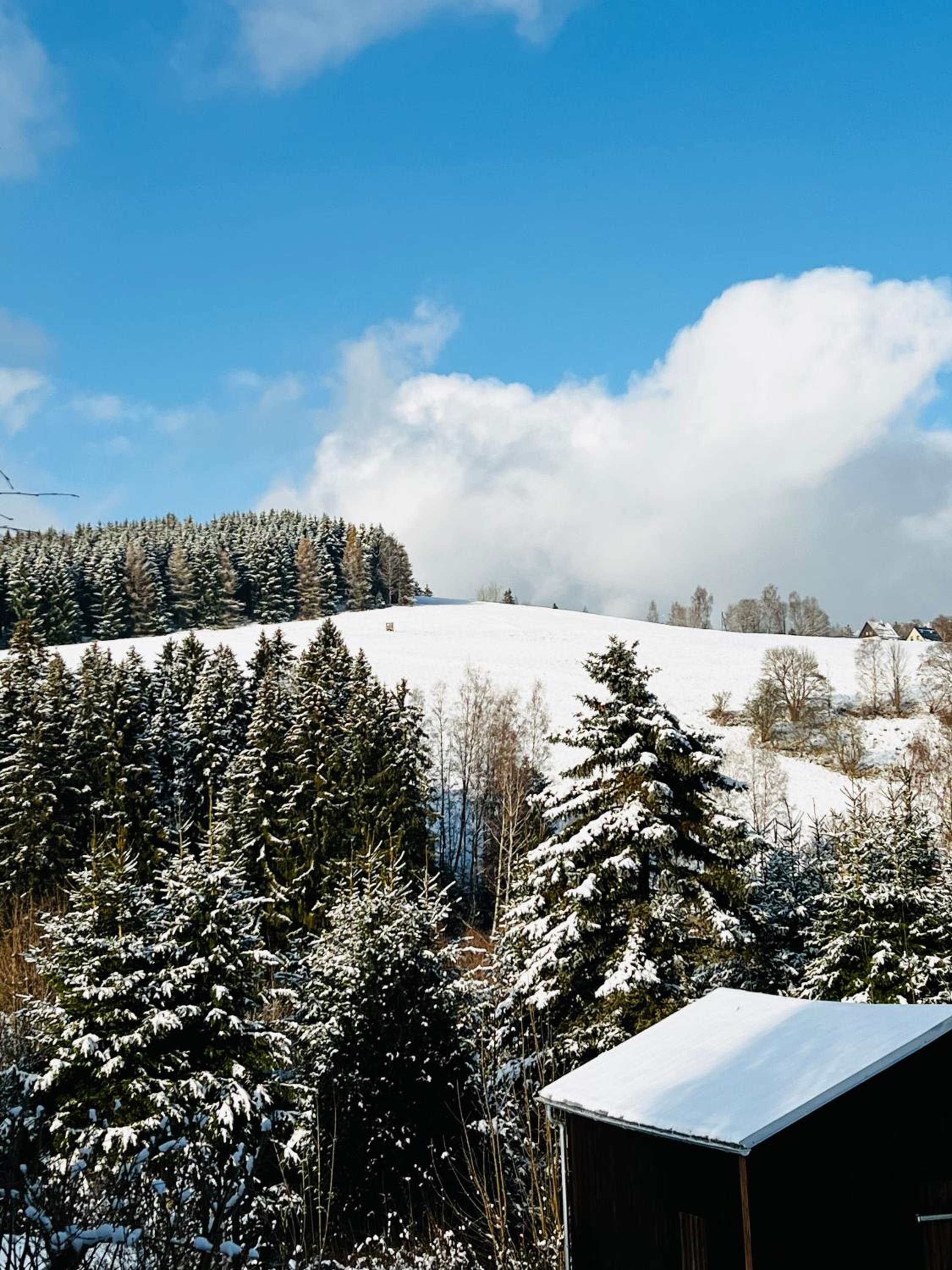 FeWo - Bergblick