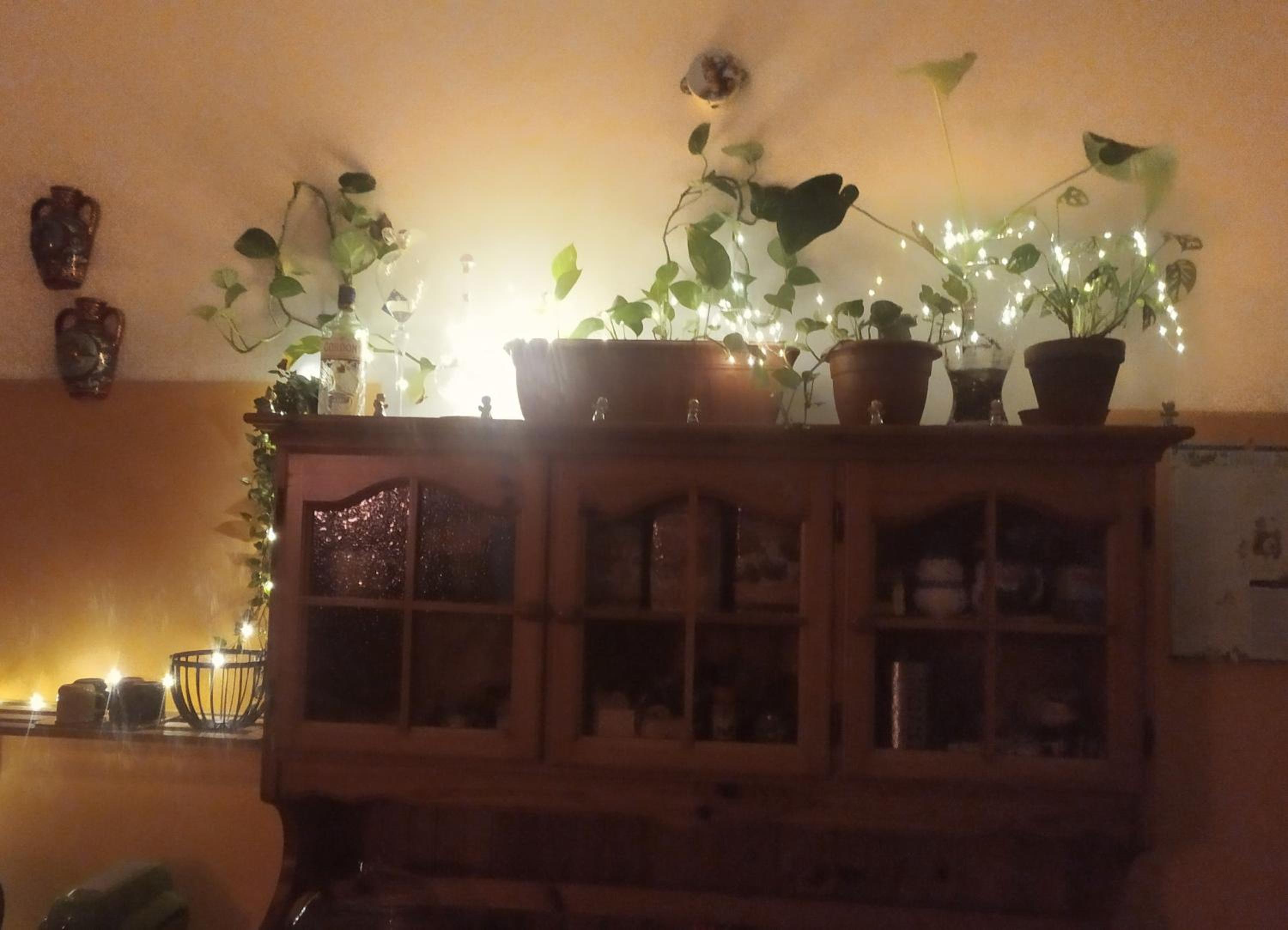 A casa di Sara view 2