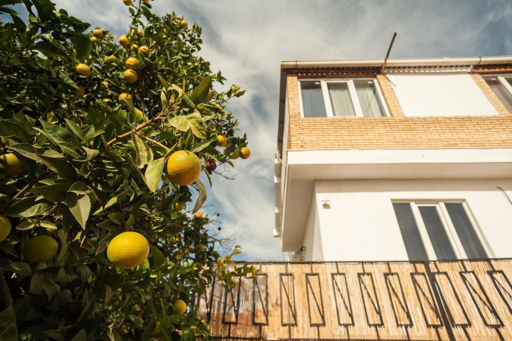 Hostal Orange Vibes
