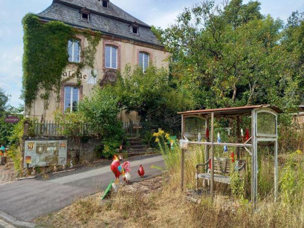 Eifel Duitsland fraai vakantiehuis met tuin