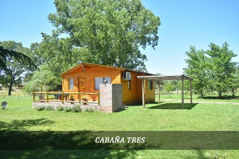 Cabañas Cuncumen