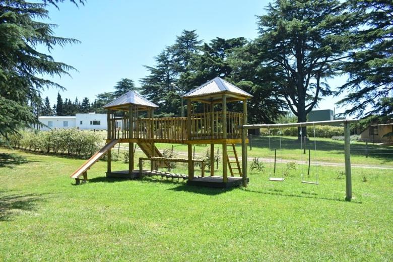Cabañas Cuncumen