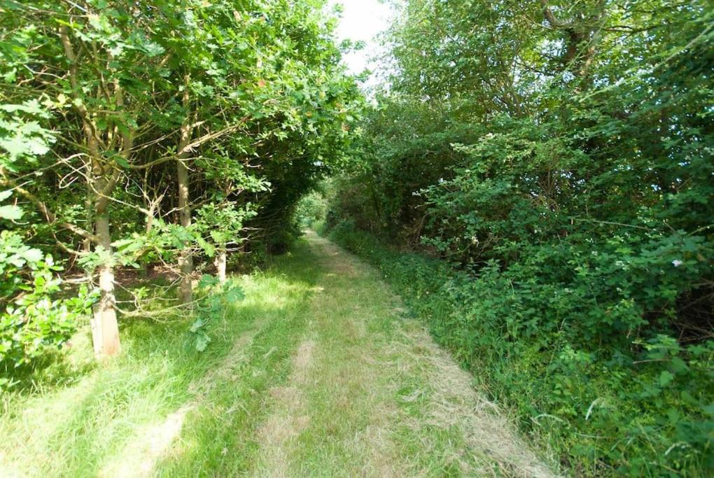 Photo 35