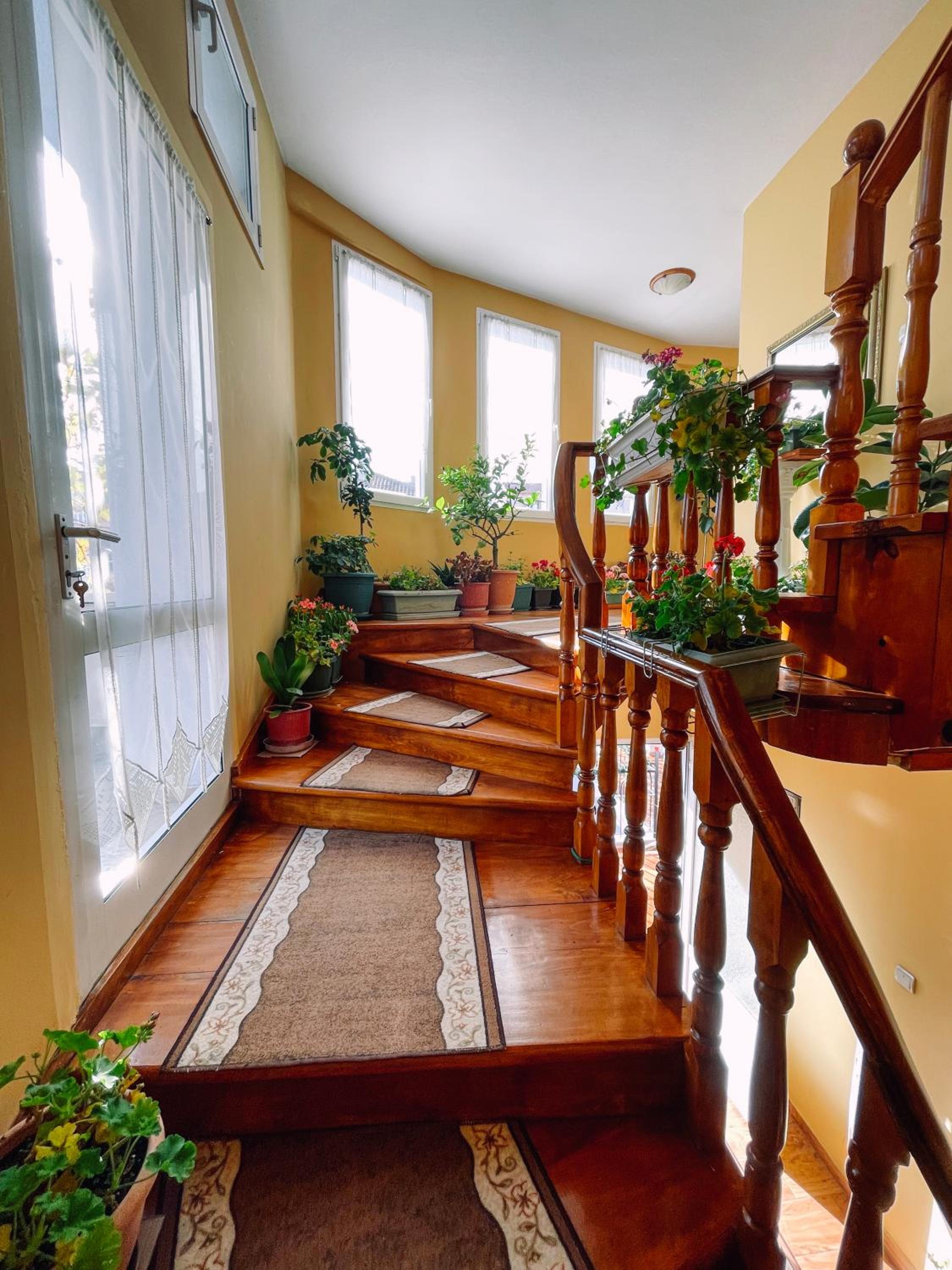 Diana Guesthouse