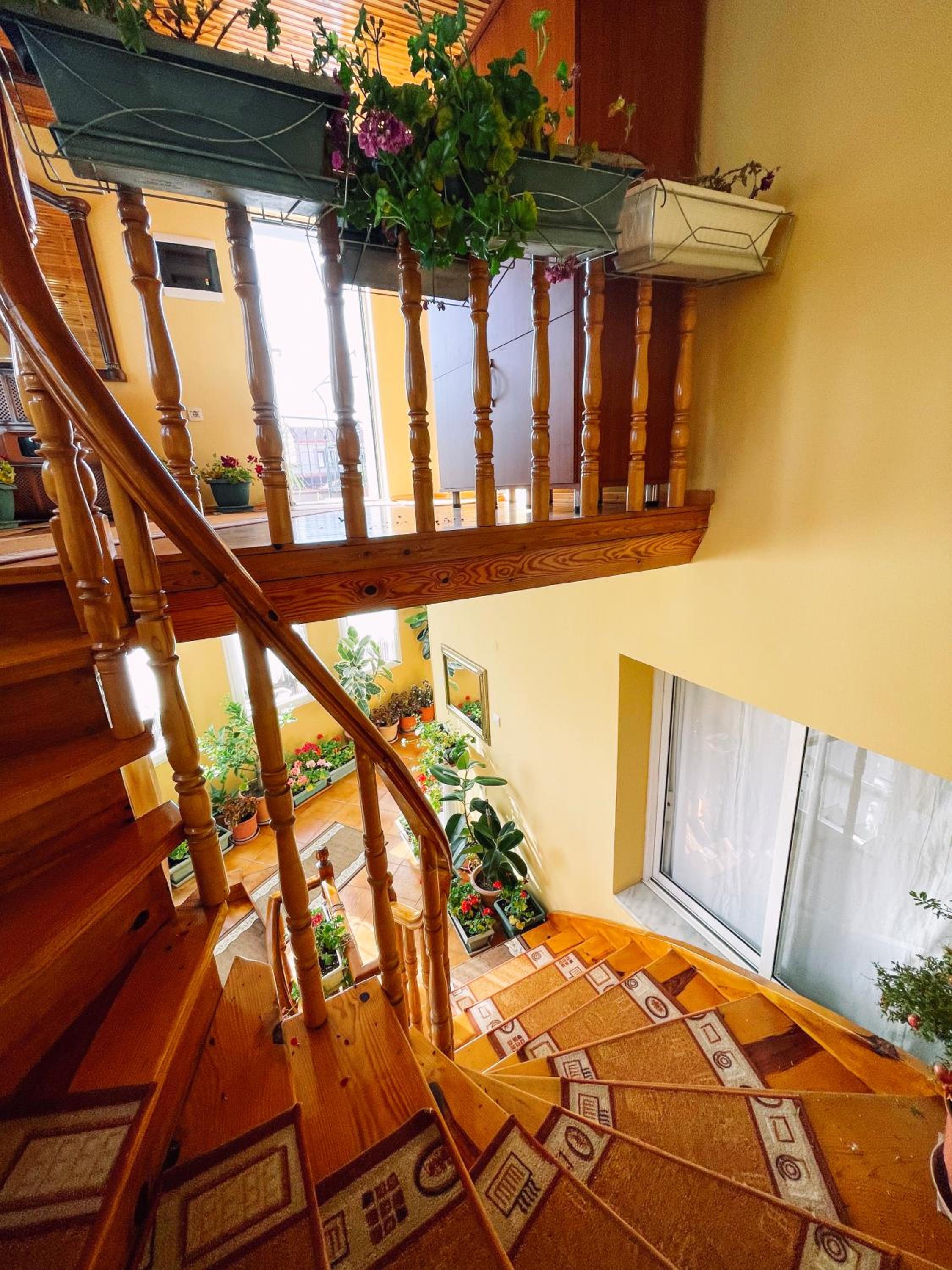 Diana Guesthouse