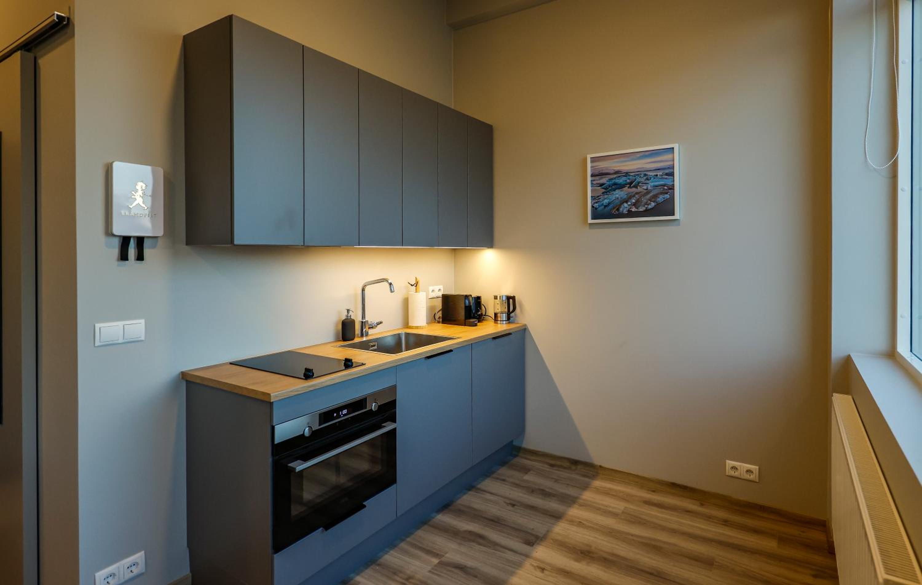 Center Apartments - Esja view 3