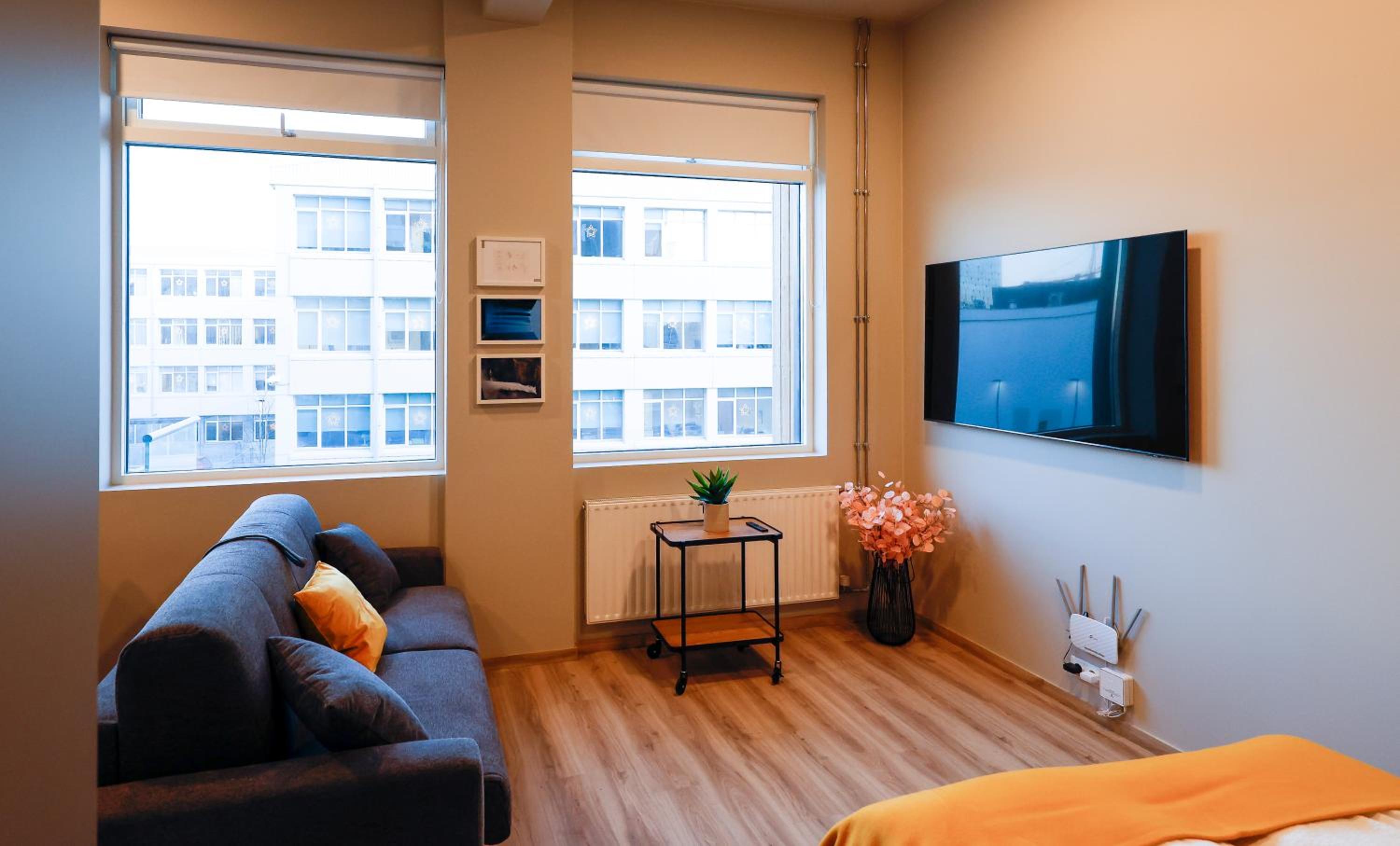Center Apartments - Esja view 5