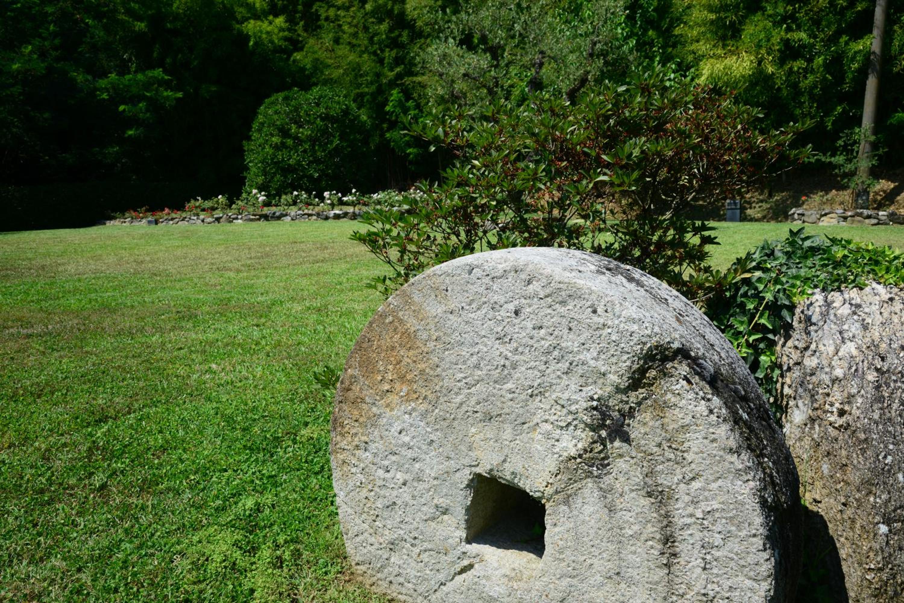 Photo 25
