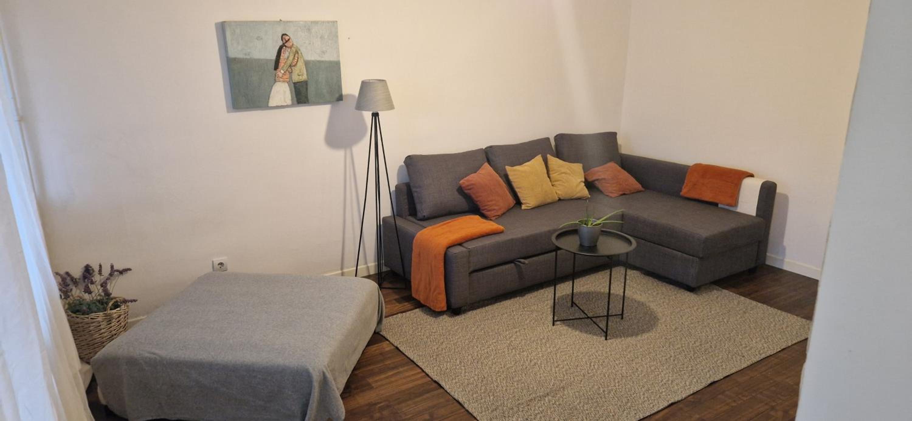 Apartman Franko- Jarun view 5