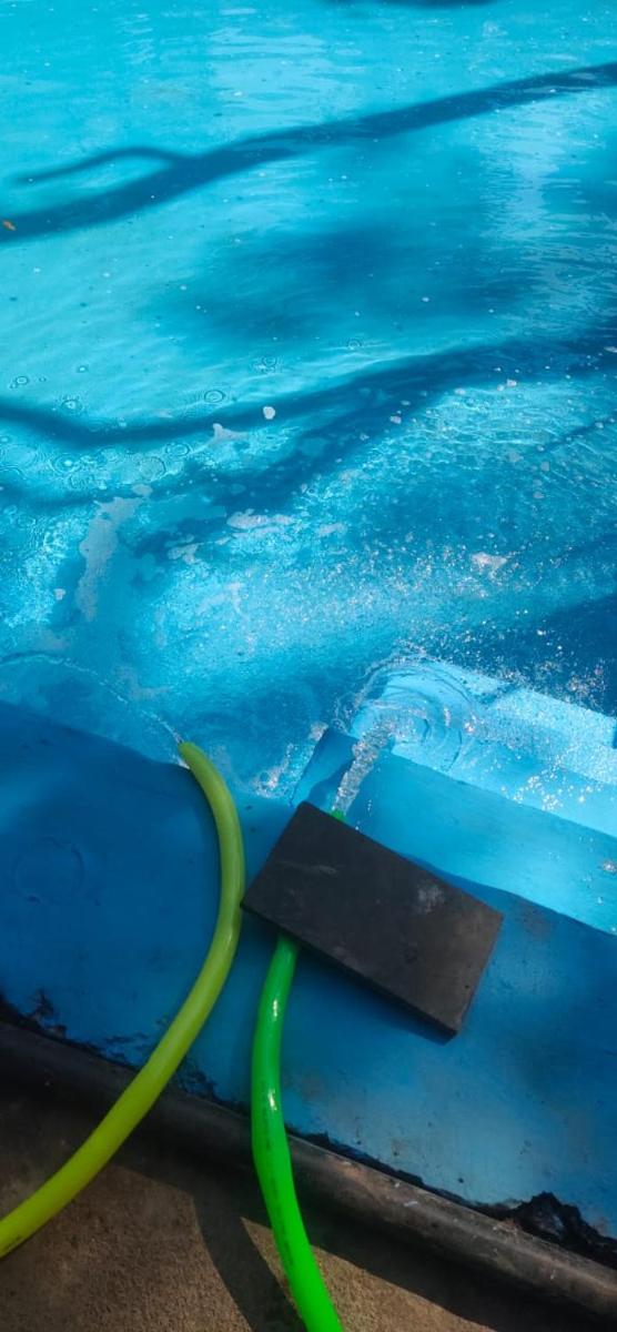 swimming pool