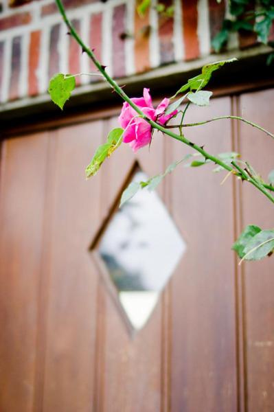 Vakantiewoning L'Eau Tendre in Ellezelles, met wellness en buitenzwembad met overkapping