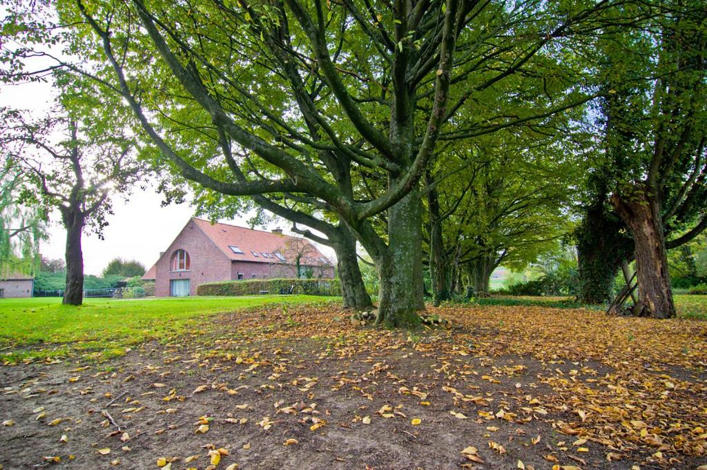 Vakantiewoning L'Eau Tendre in Ellezelles, met wellness en buitenzwembad met overkapping
