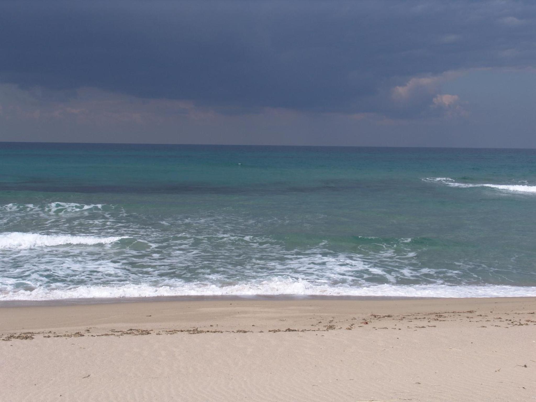 Photo 45