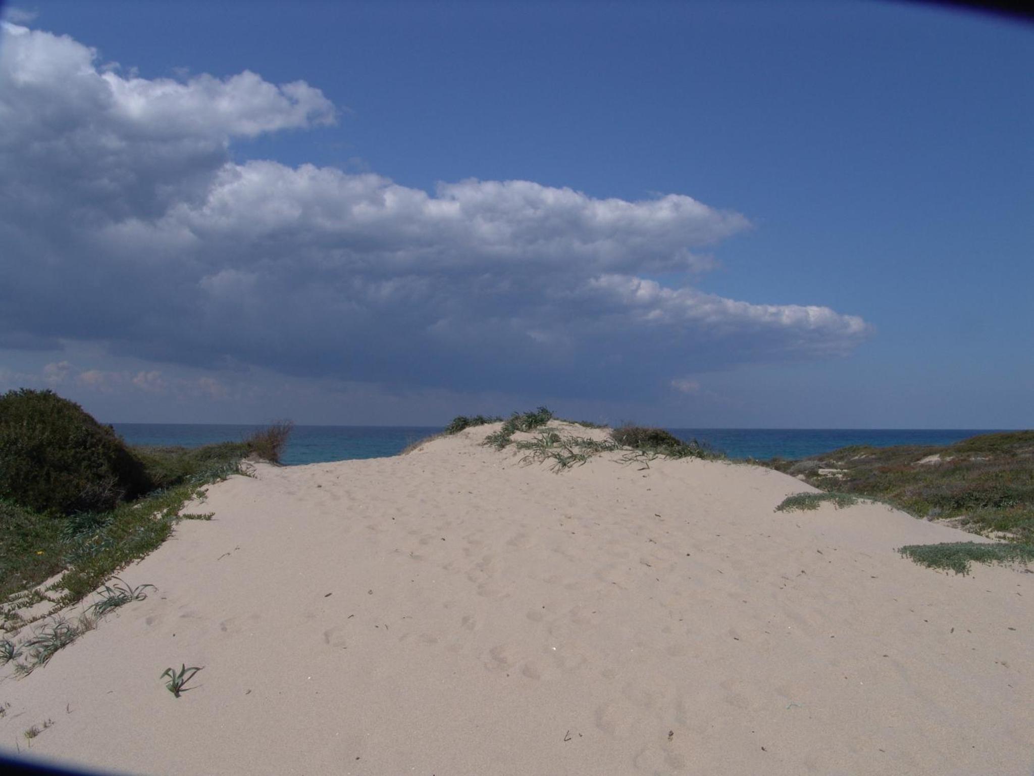 Photo 46