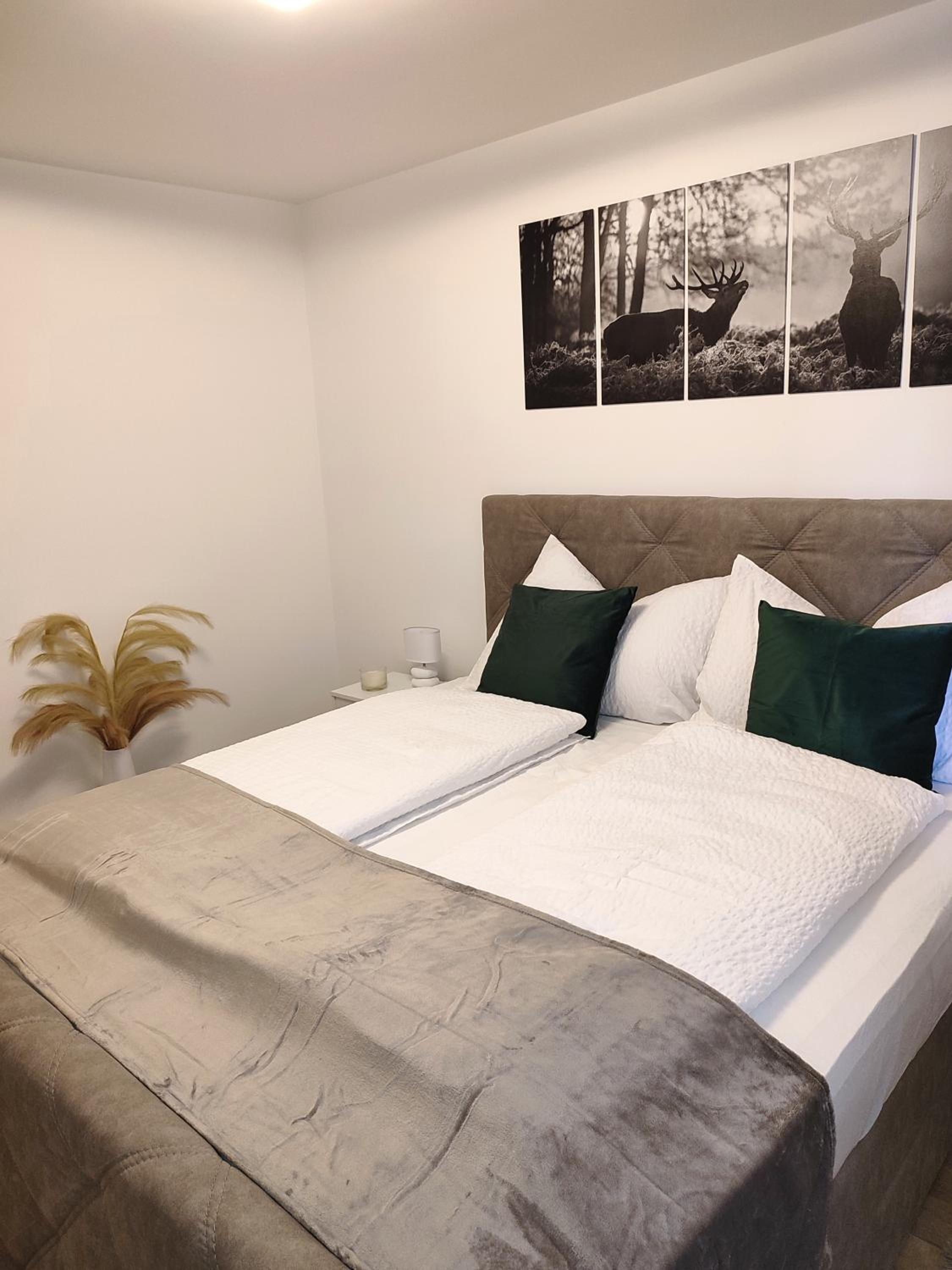 Modern Mountain Apartment - free parking & sauna