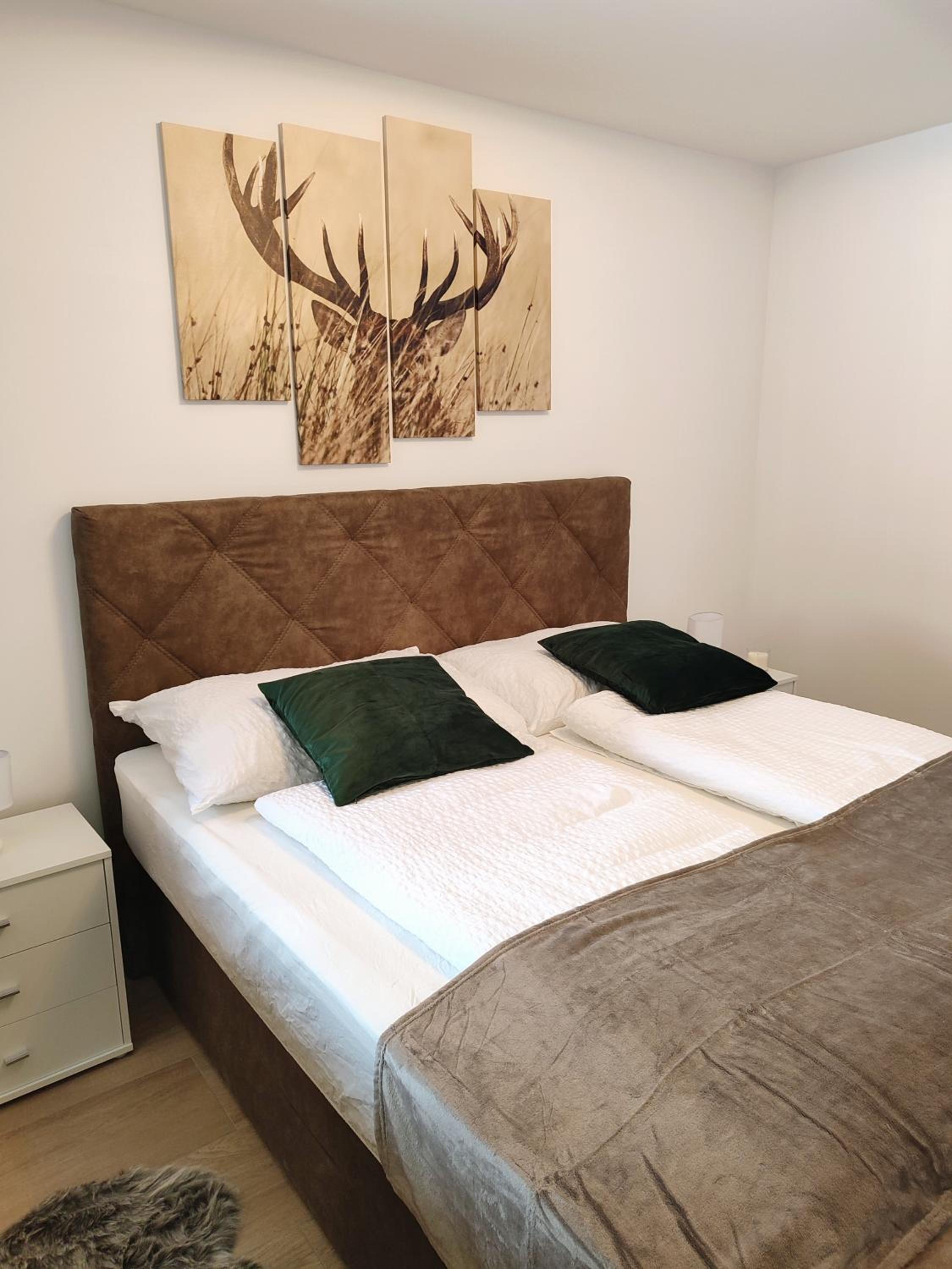 Modern Mountain Apartment - free parking & sauna