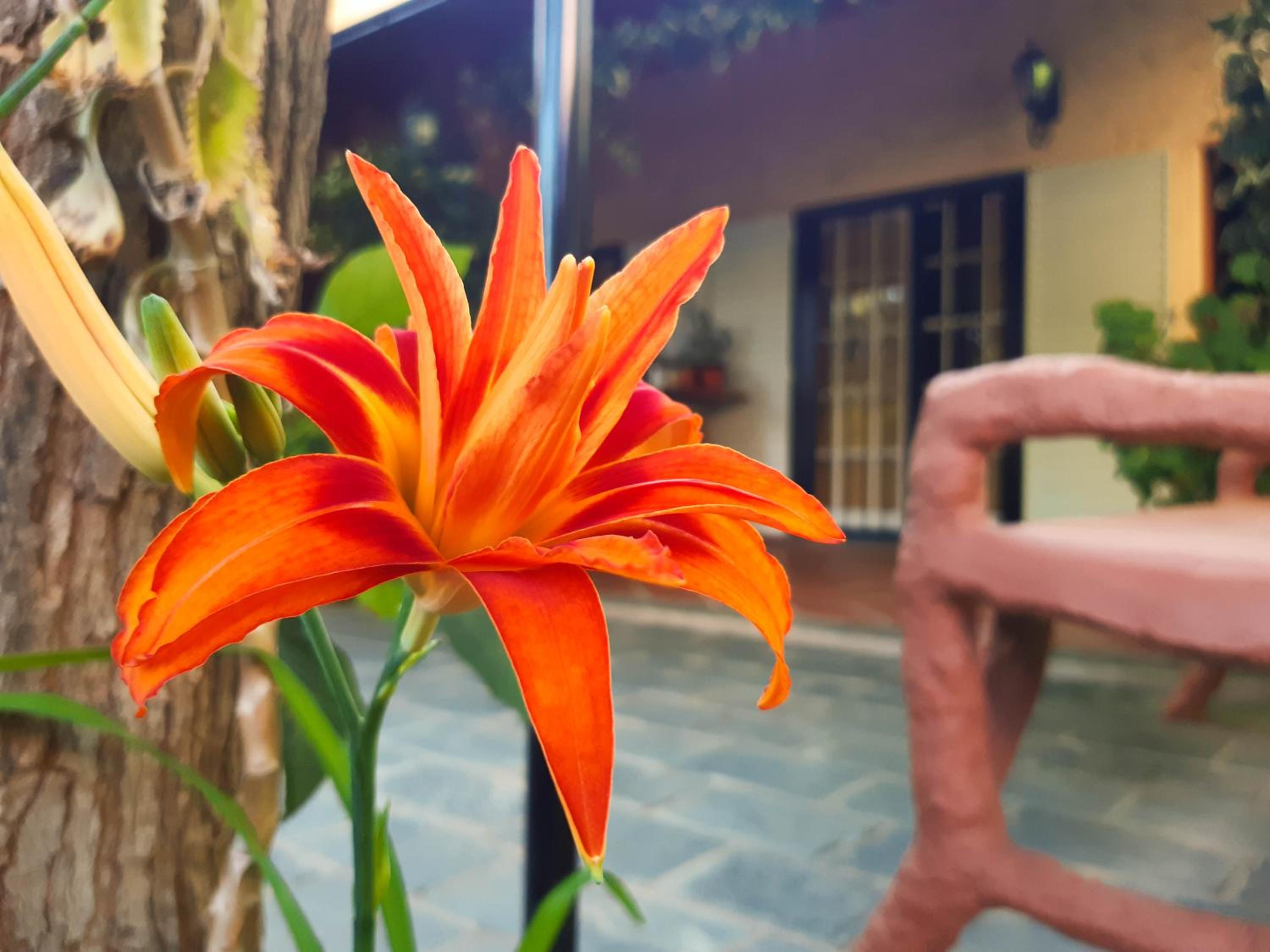 Departamento Las Margaritas