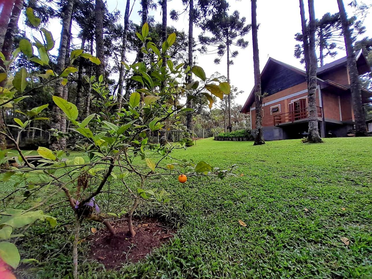Bosque das Araucárias
