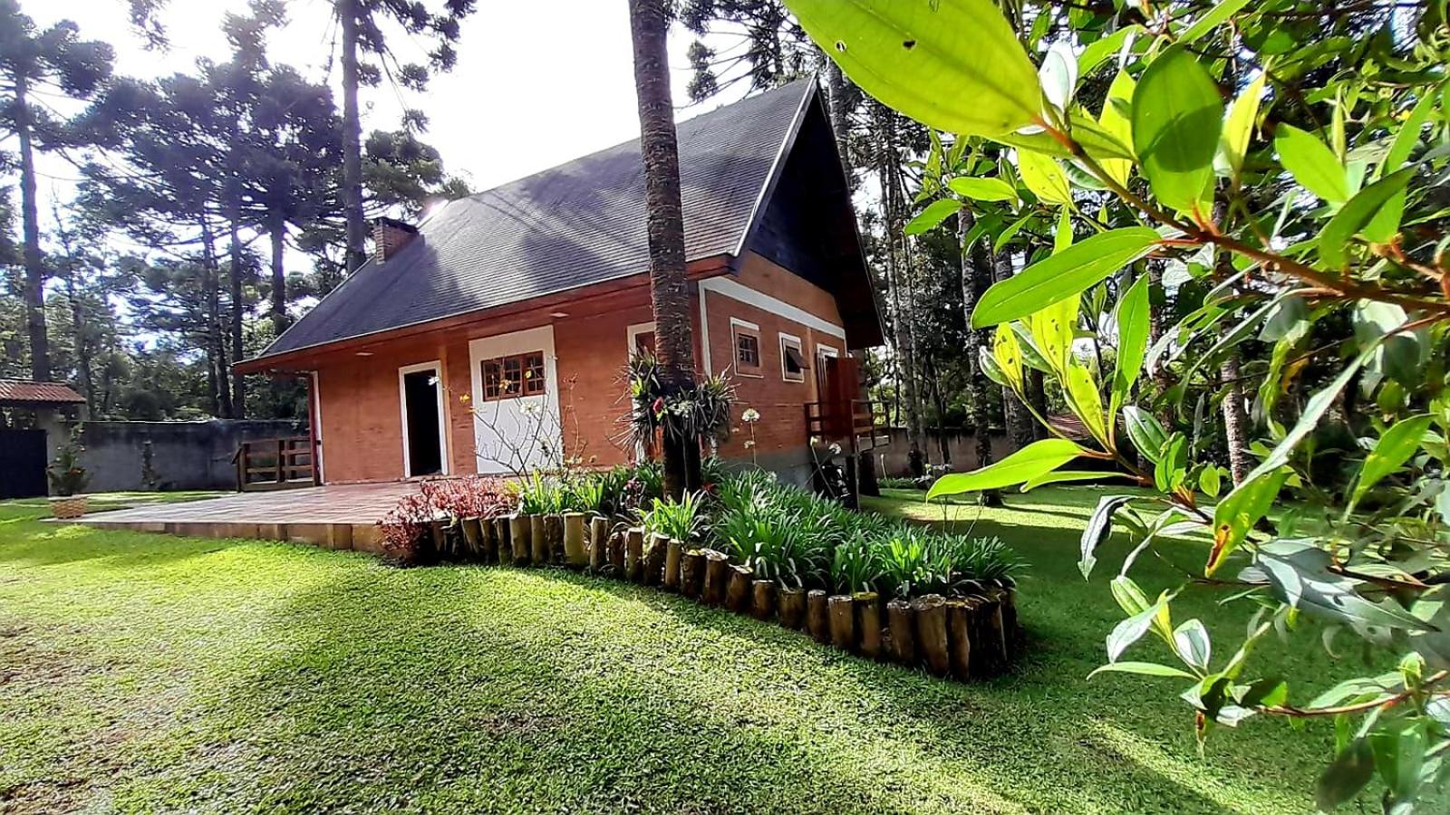 Bosque das Araucárias