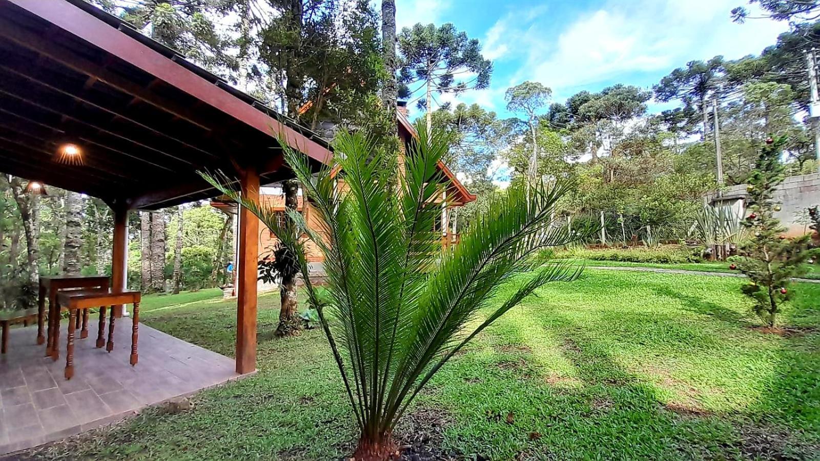 Bosque das Araucárias