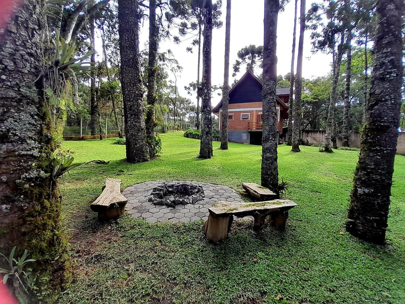 Bosque das Araucárias