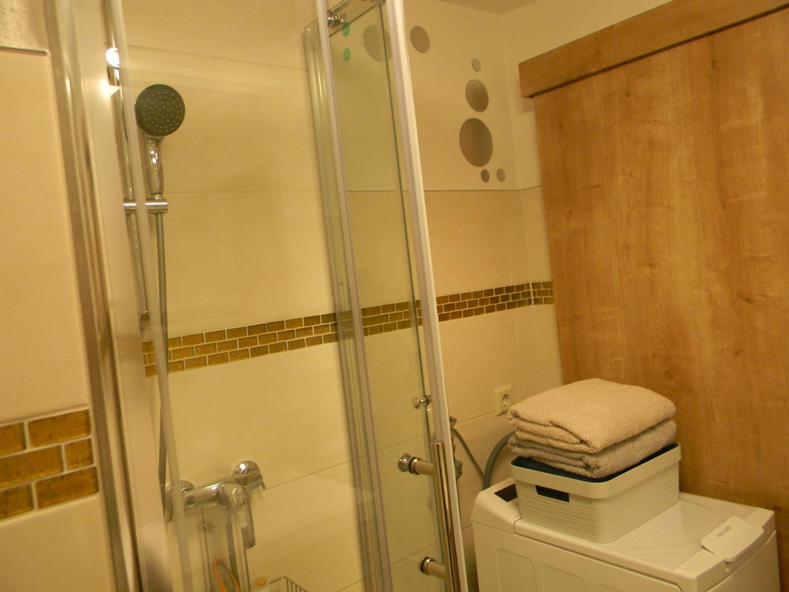 Schönwald Schwarzwaldhäuser Apartment 7