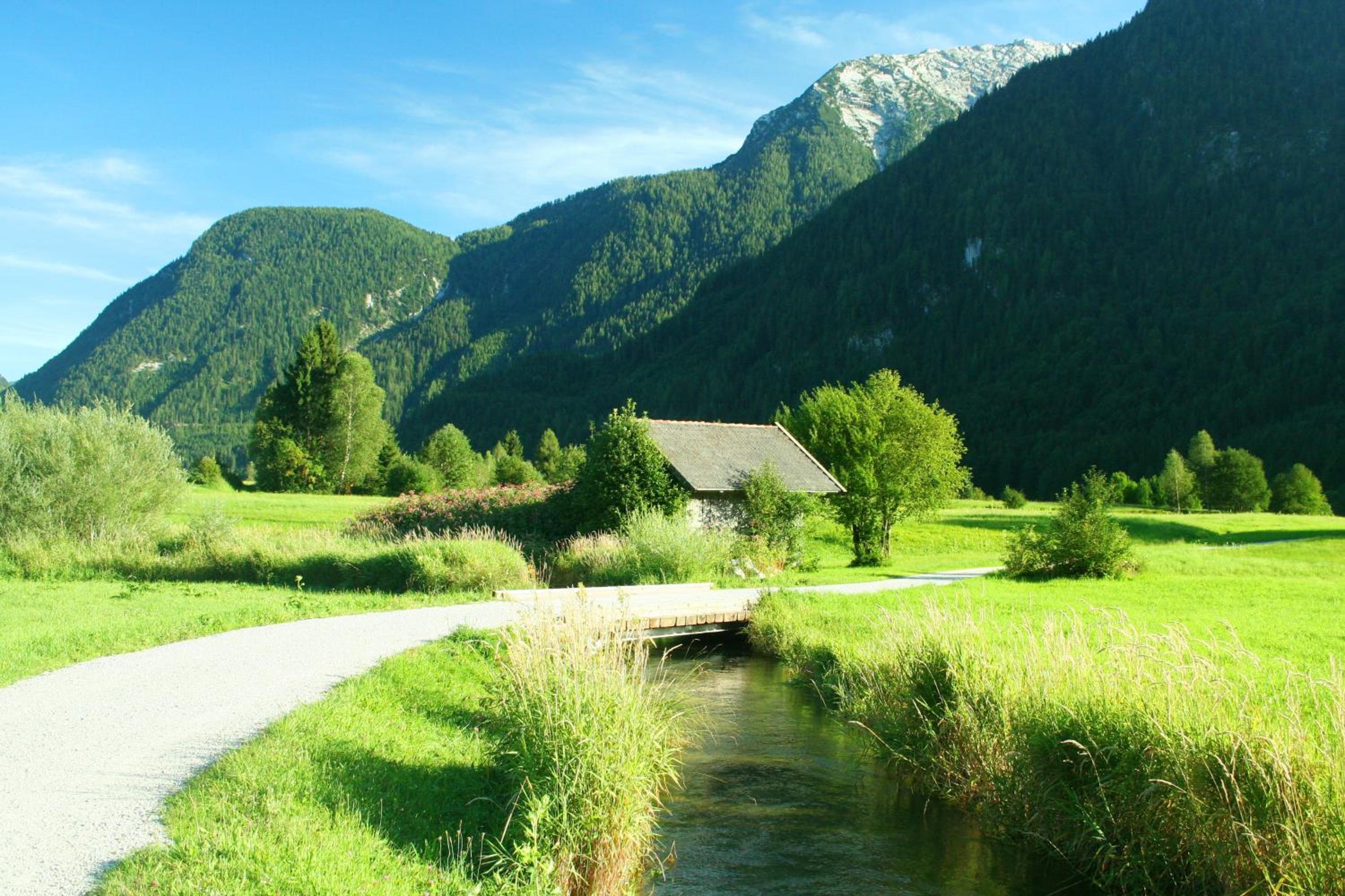 Photo 41