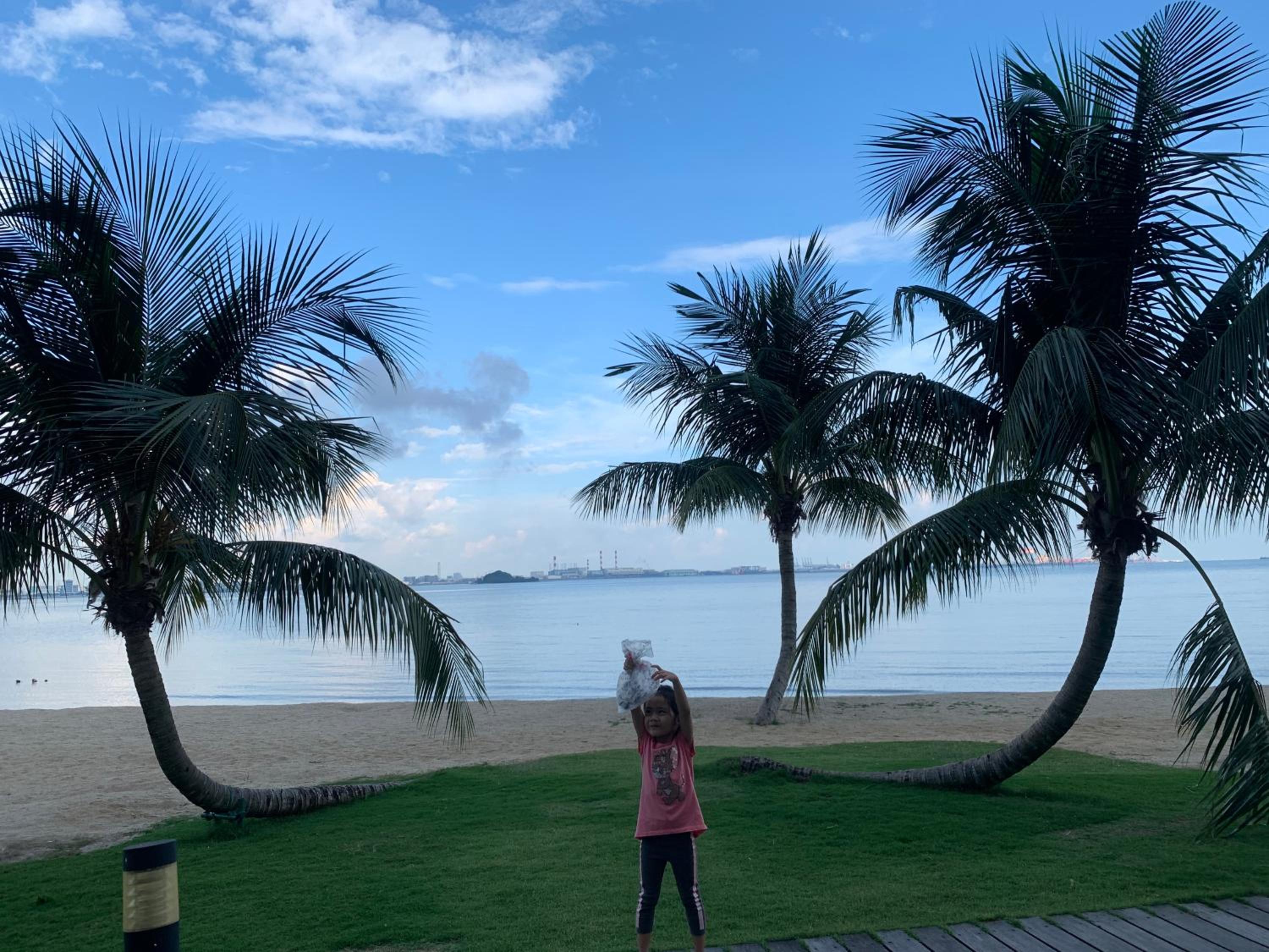Sea view 2 bedroom Fully furnished Apartment Forest City Starview Bay Johor Malaysia photo 8