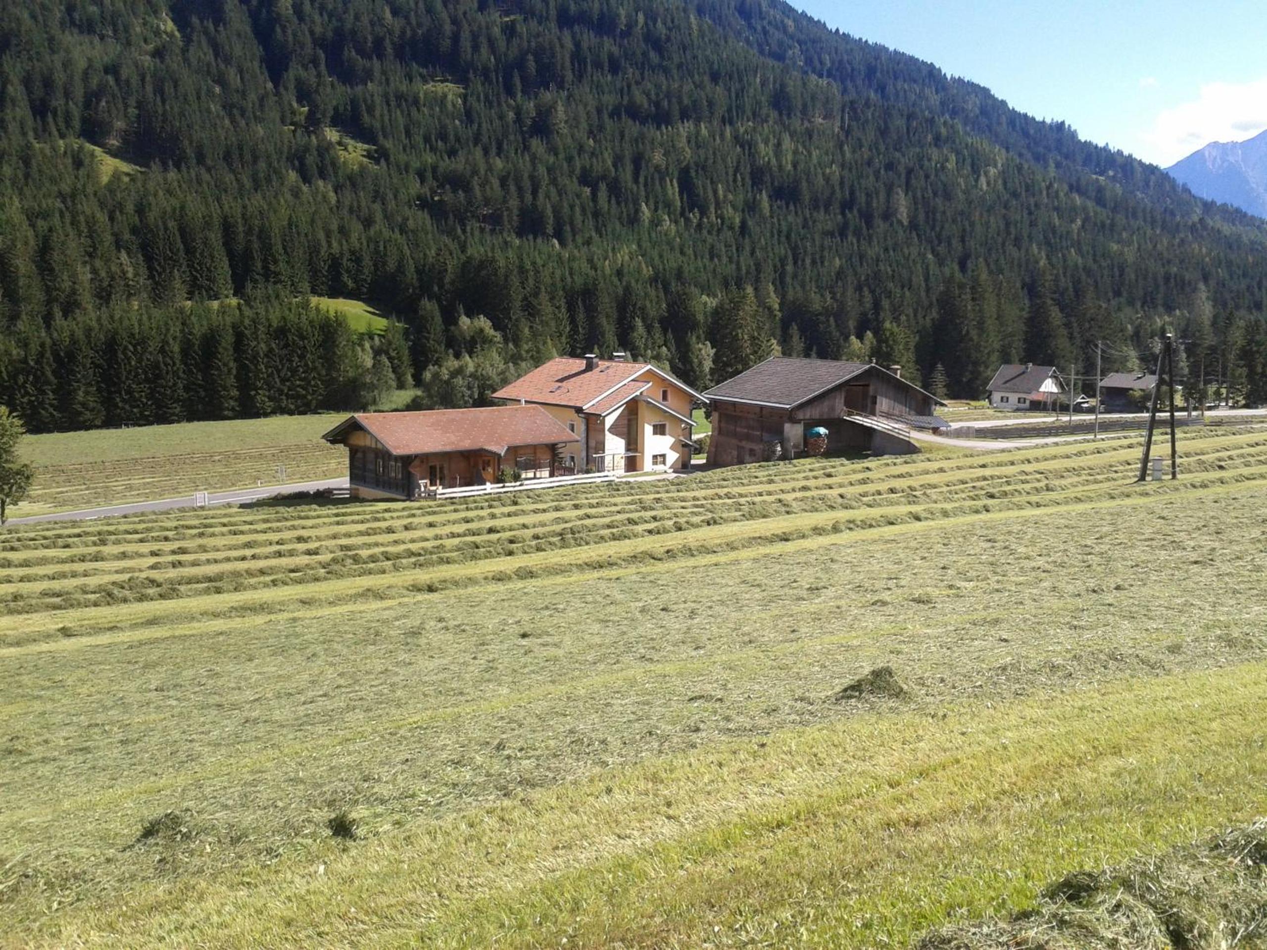 Ferienwohnung Suntinger